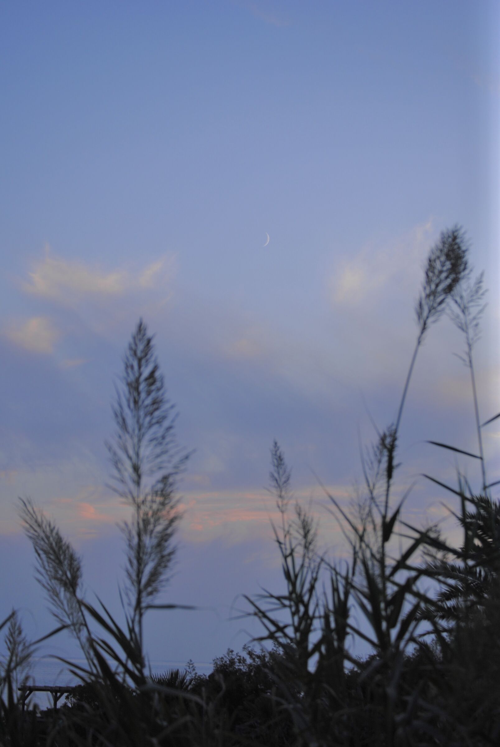 Slice of the moon