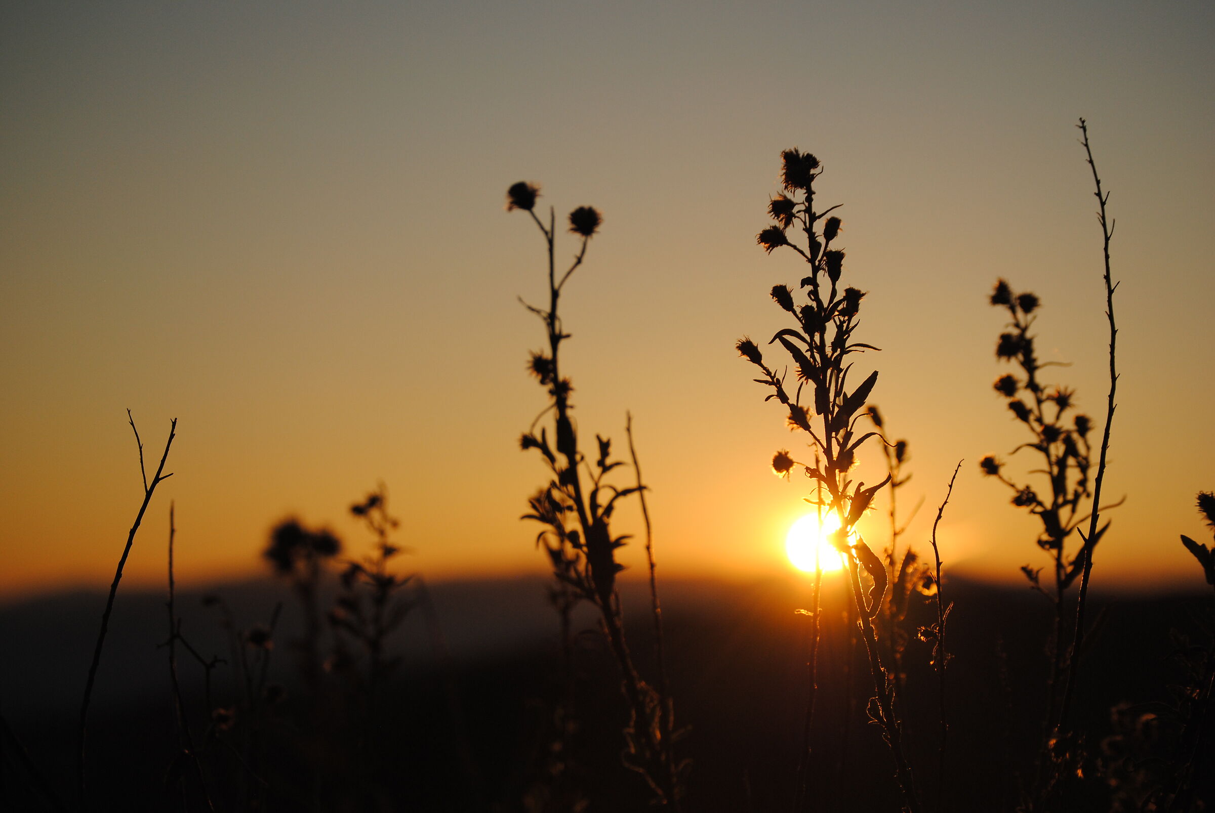 Tramonto alla Guardia
