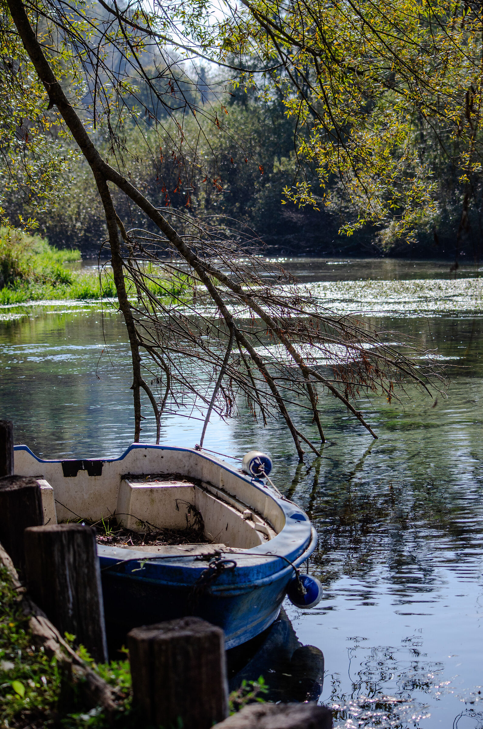 La barca sul lago