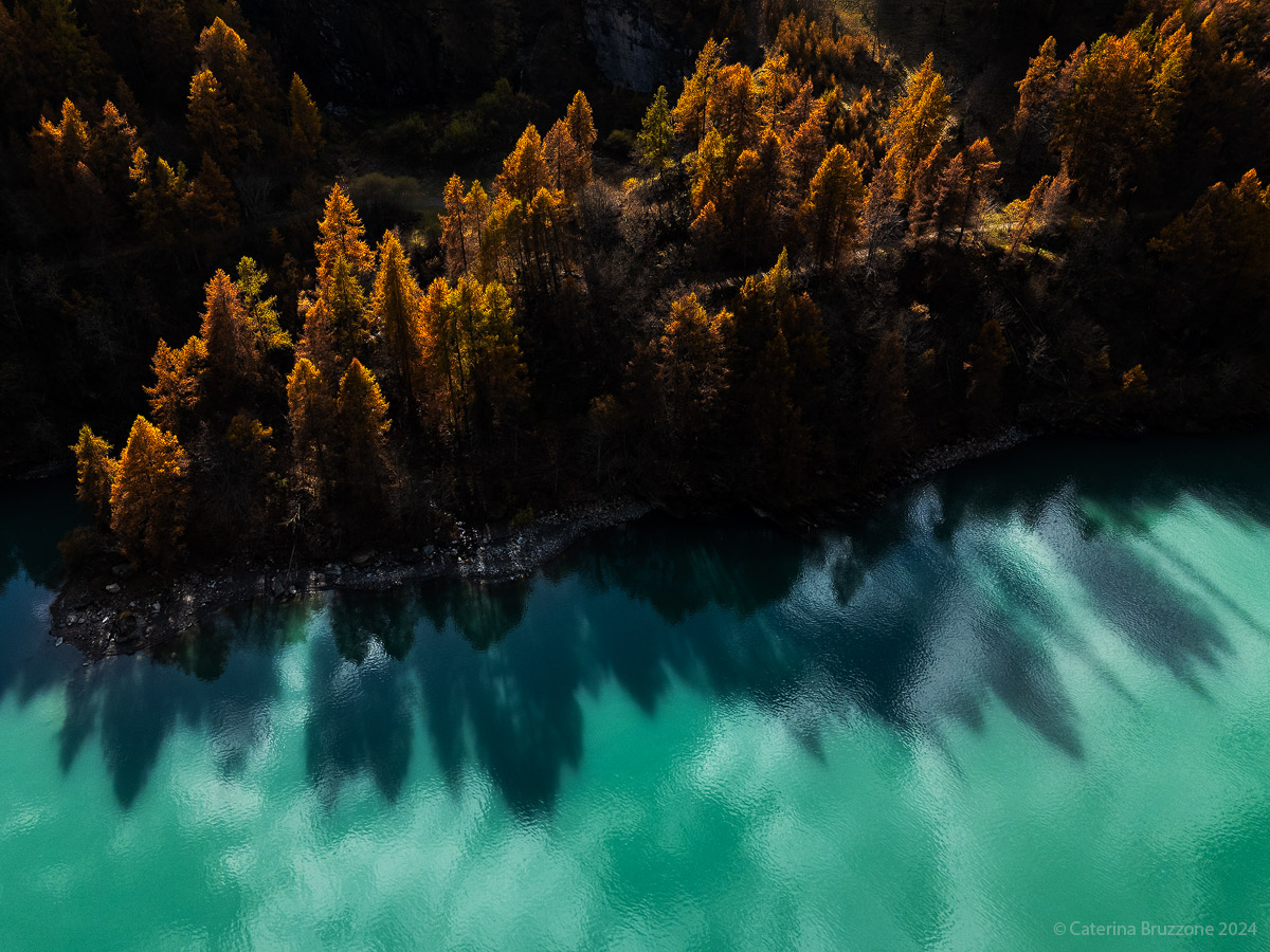 Lights and shadows on the lake