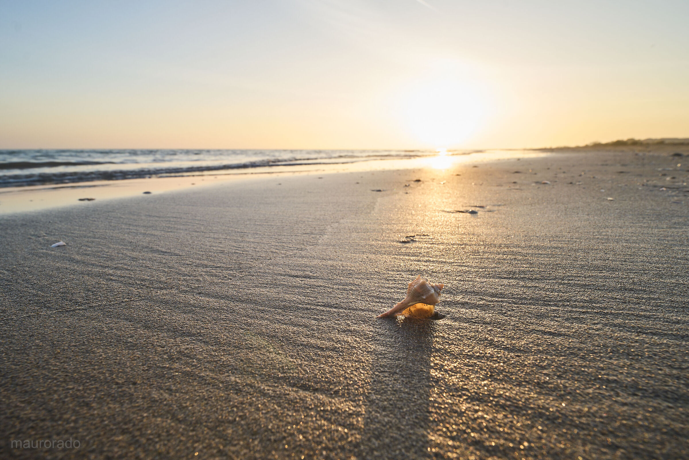 Dancing with the sun