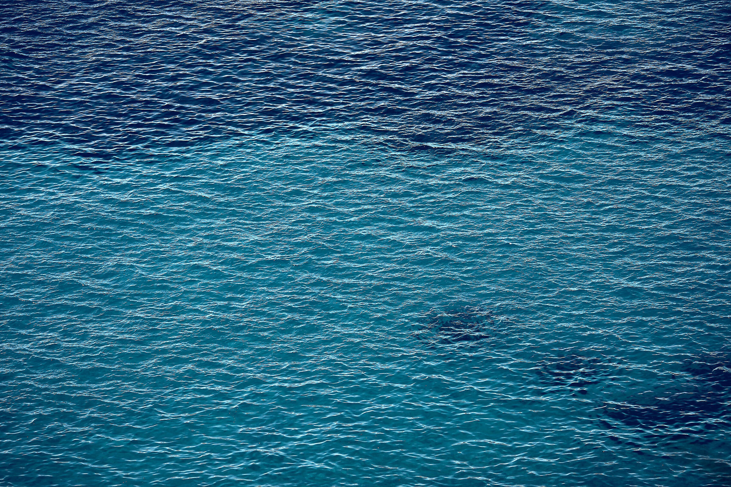 mare