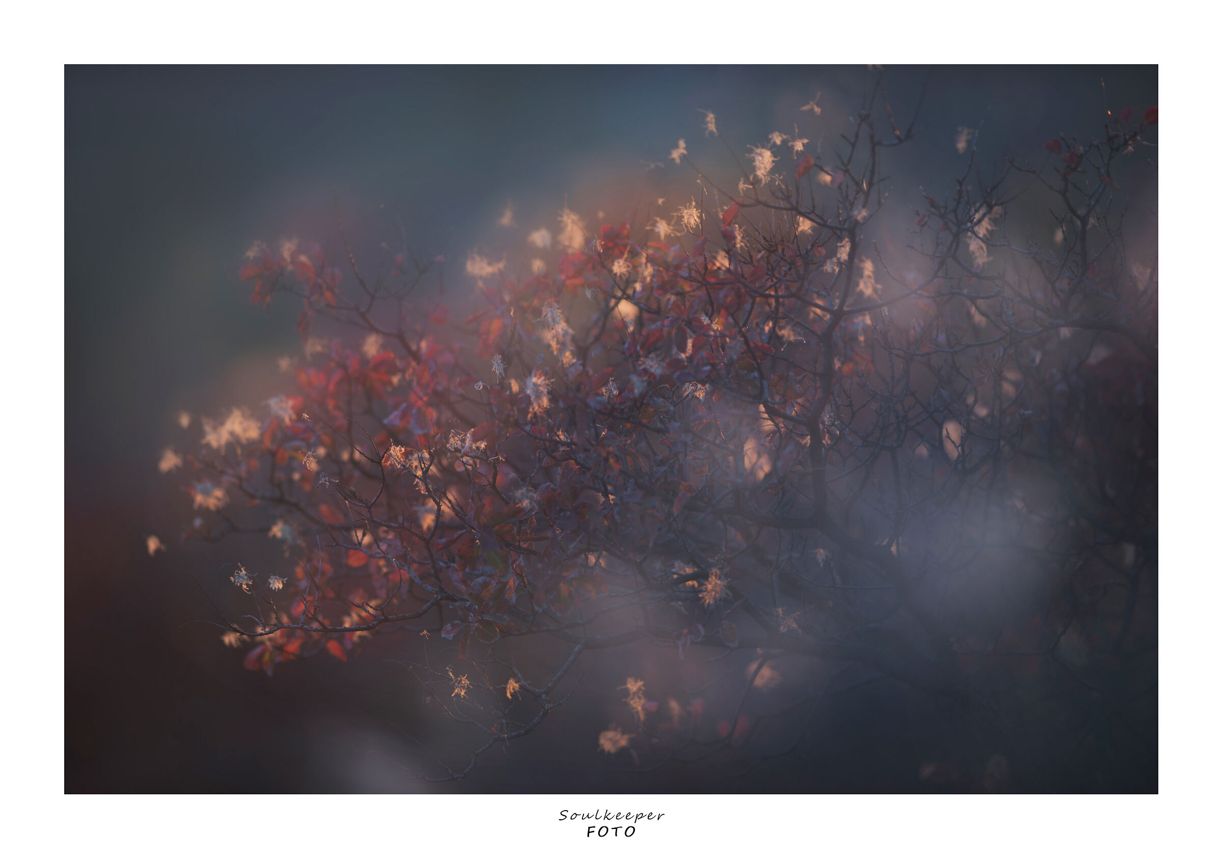 Caressed by the light.