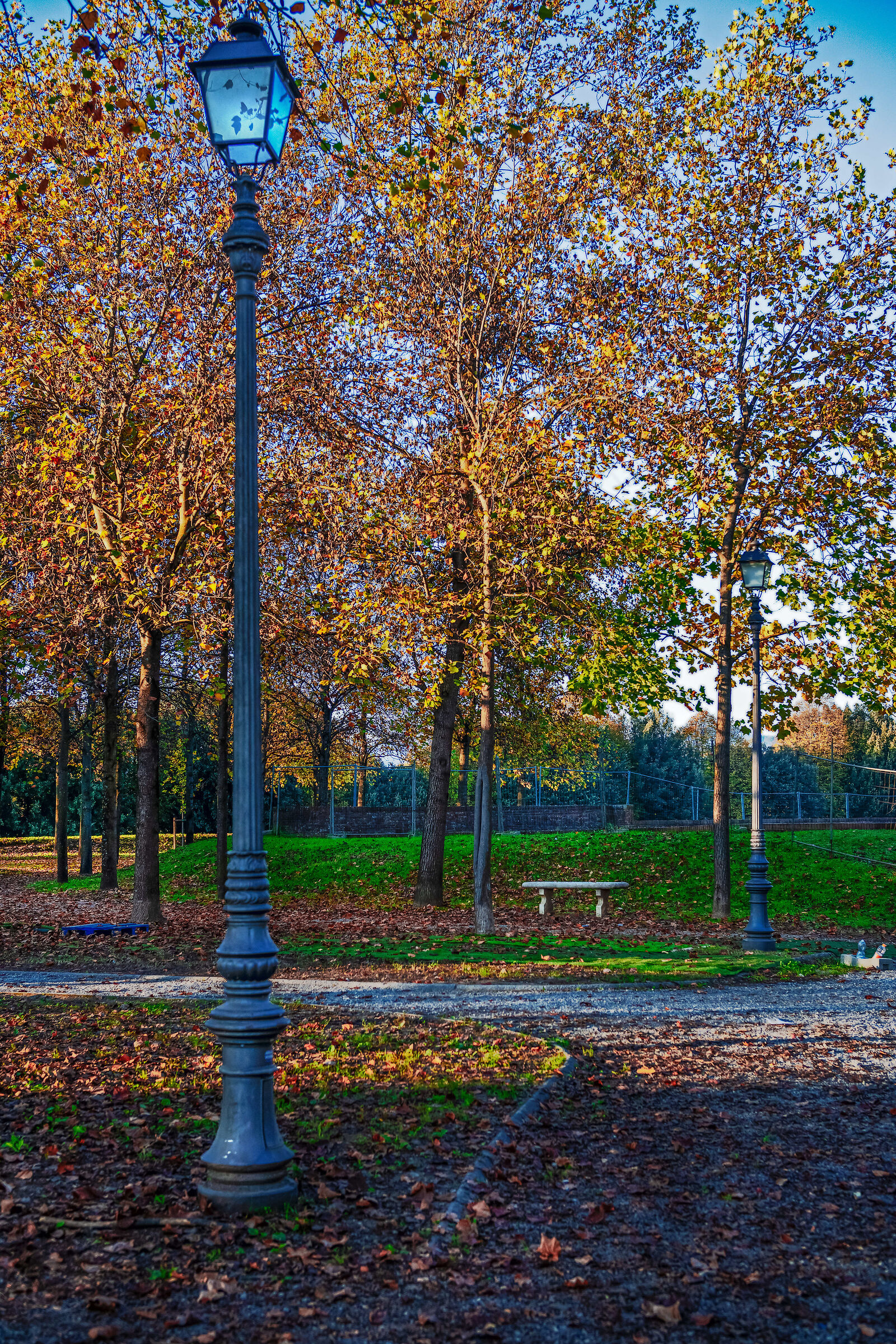 Autunno al parco