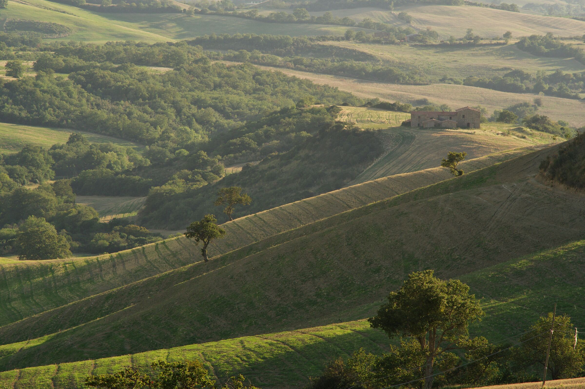 Colline di maremma