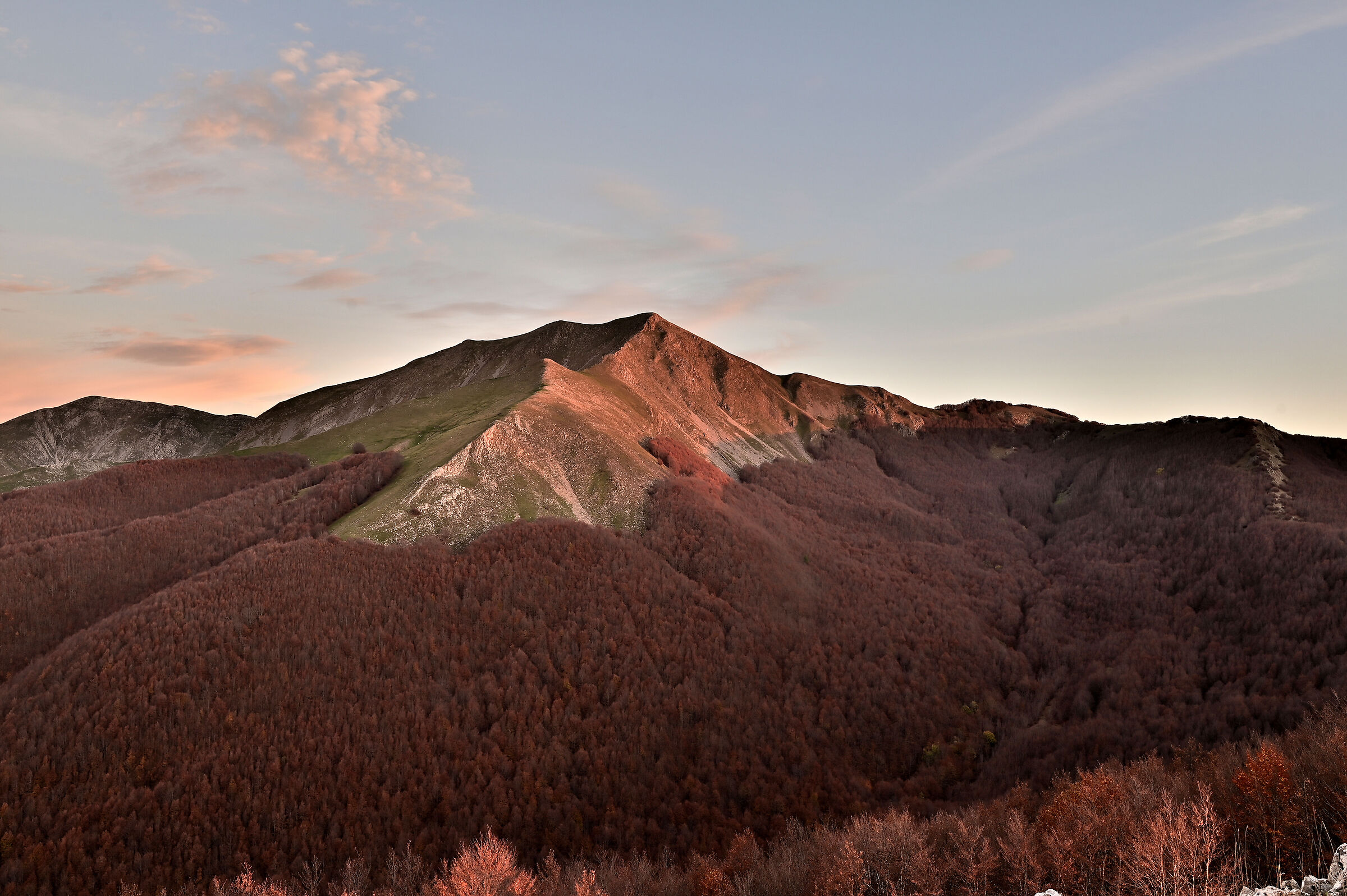 Quando i colori autunnali e della sera vanno insieme.