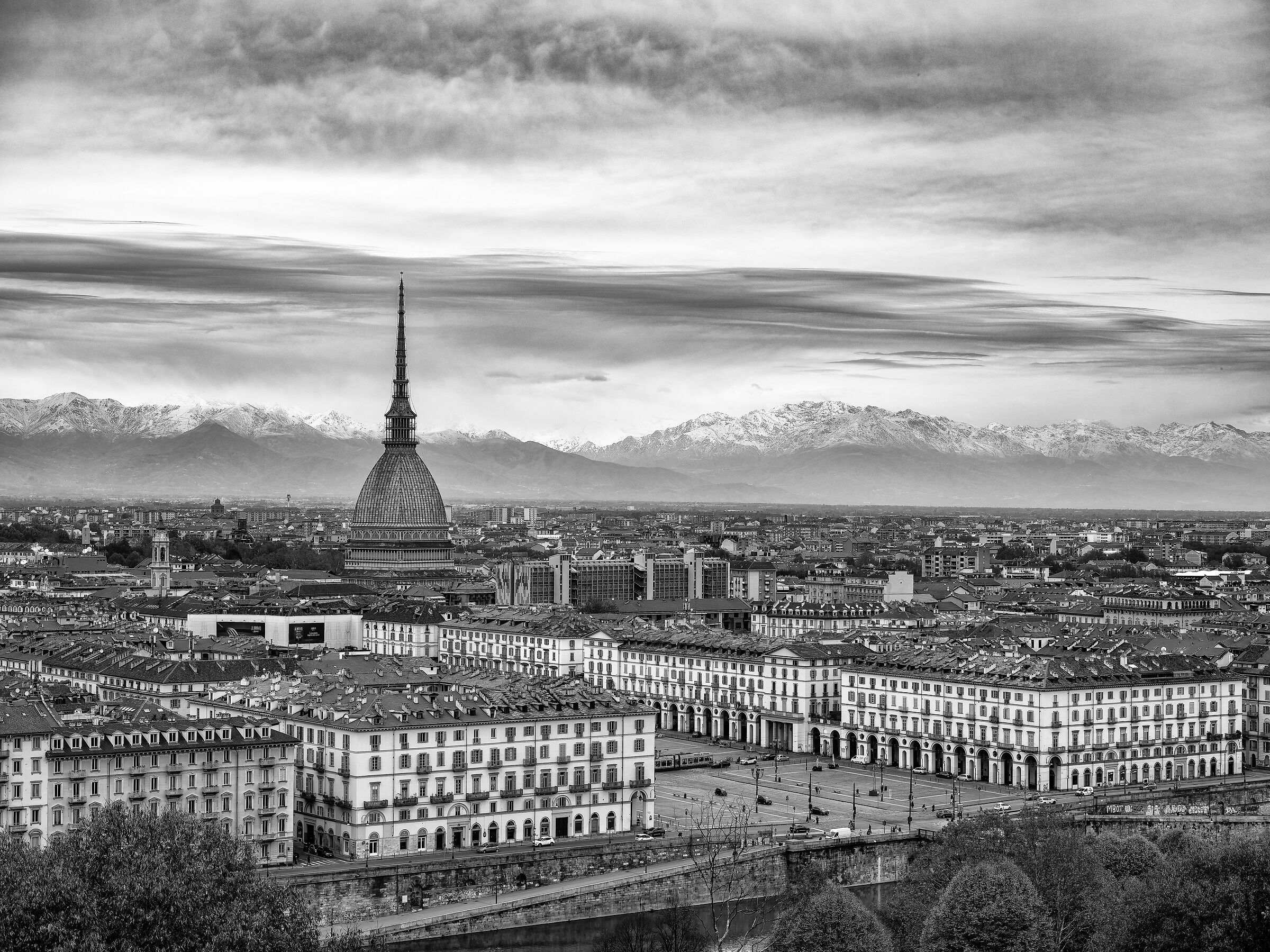 Torino Monochrome