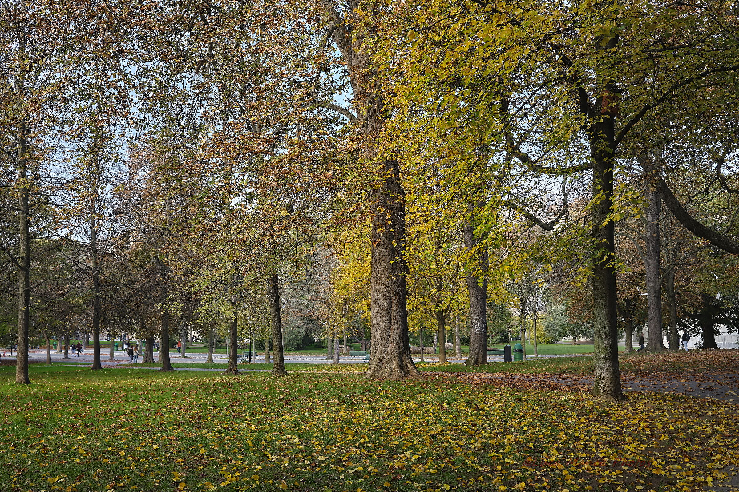 Geneva in Autumn