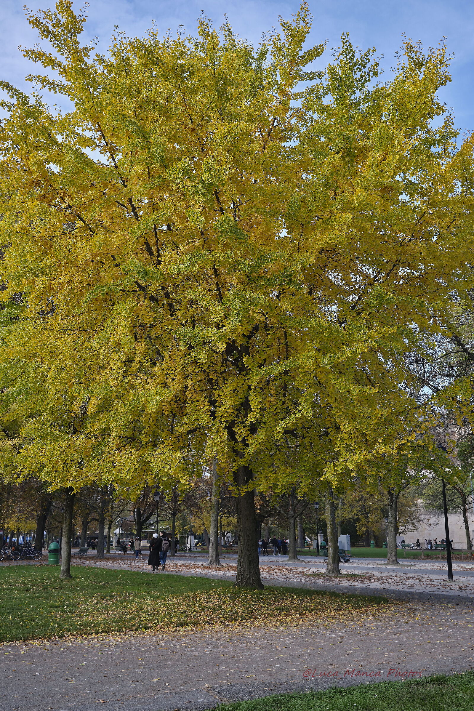 Geneva in Autumn