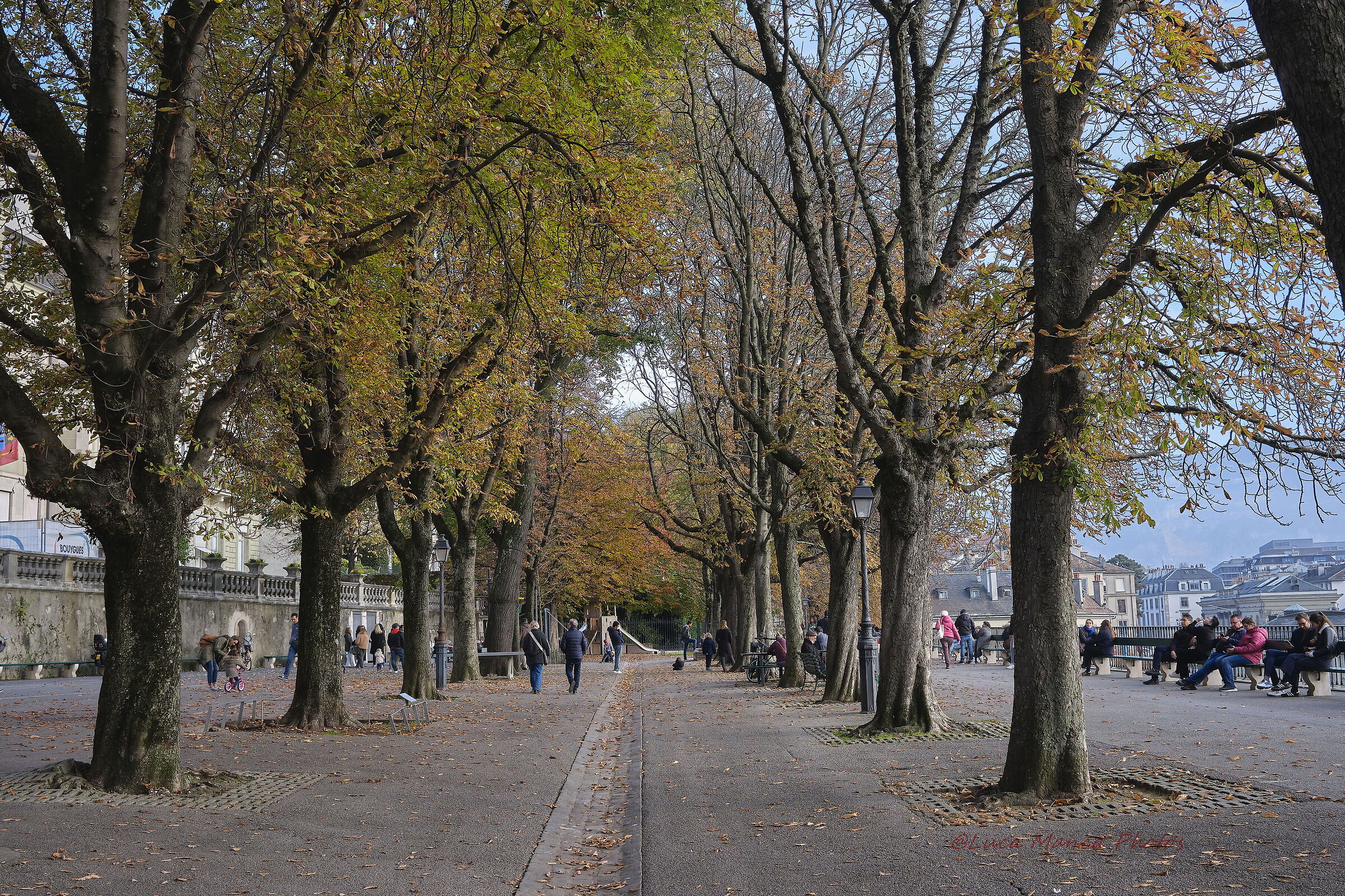 Geneva in Autumn