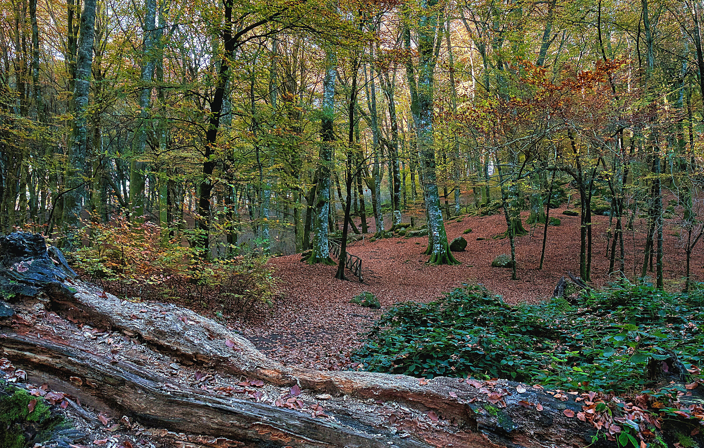 Autumn colours and atmospheres