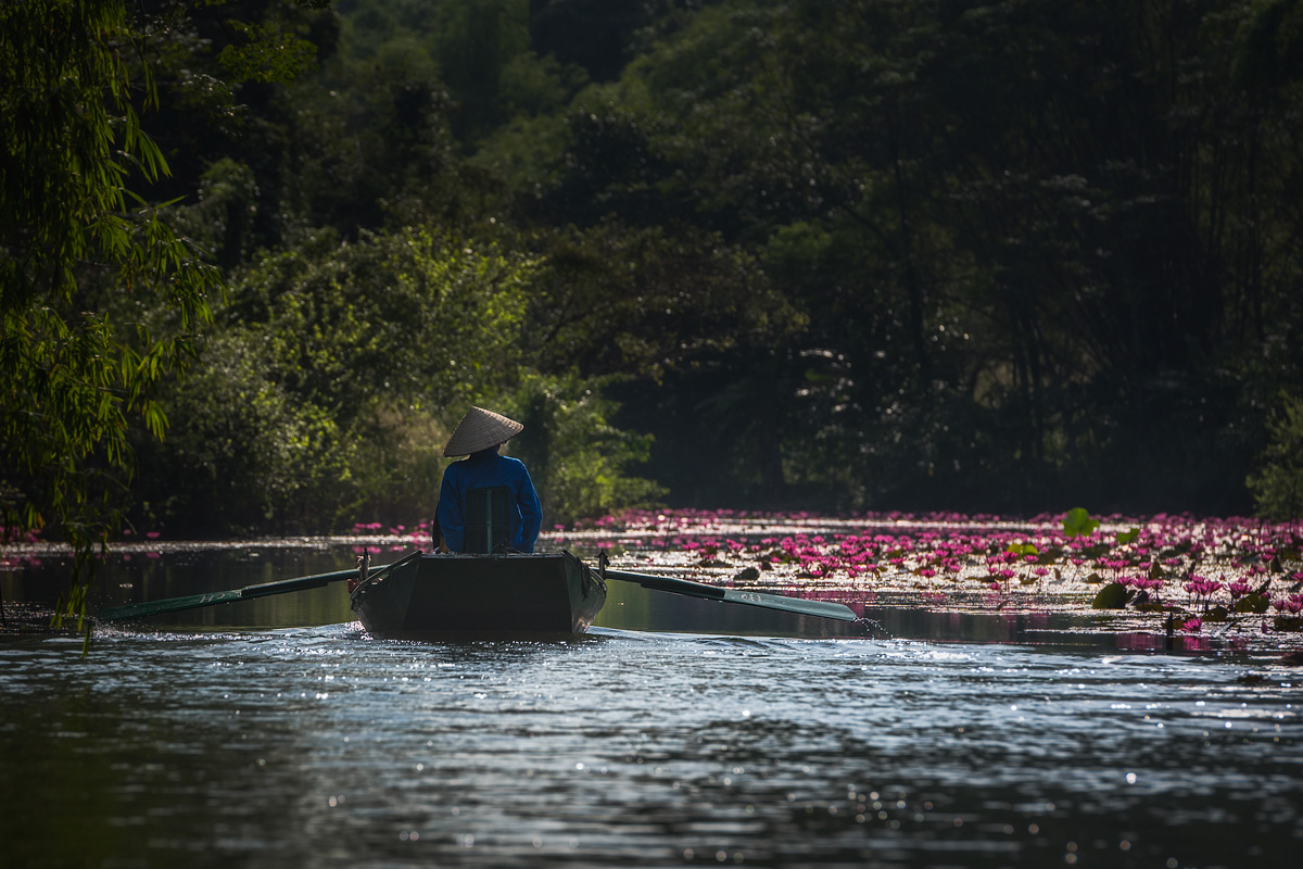 The silence of the water lilies