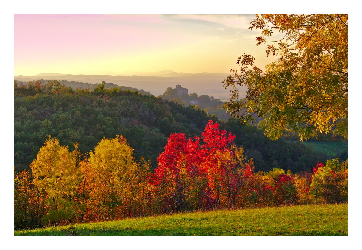 Autumn Emotions 2020