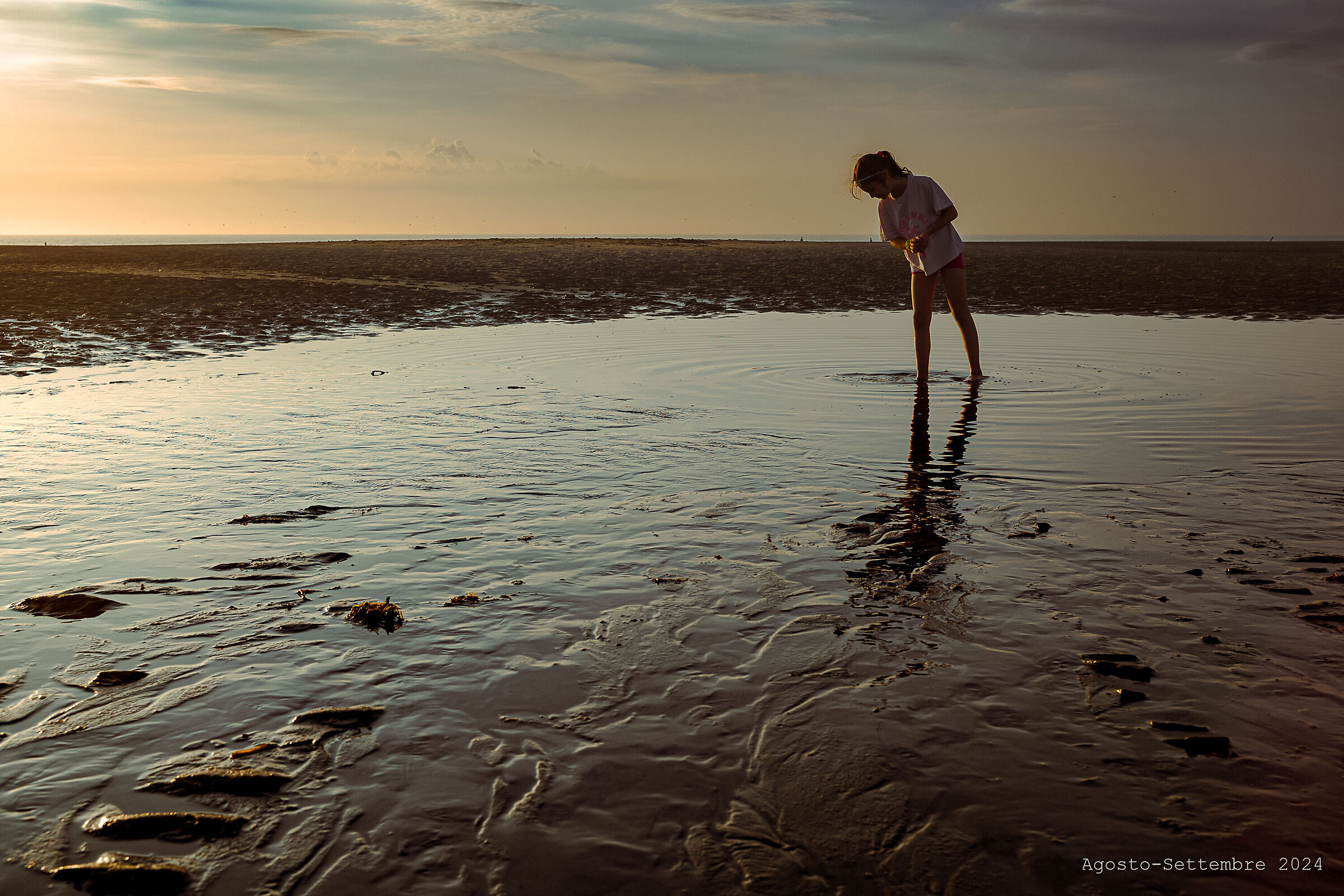 Bay of the Somme 7 - Looking for shellfish