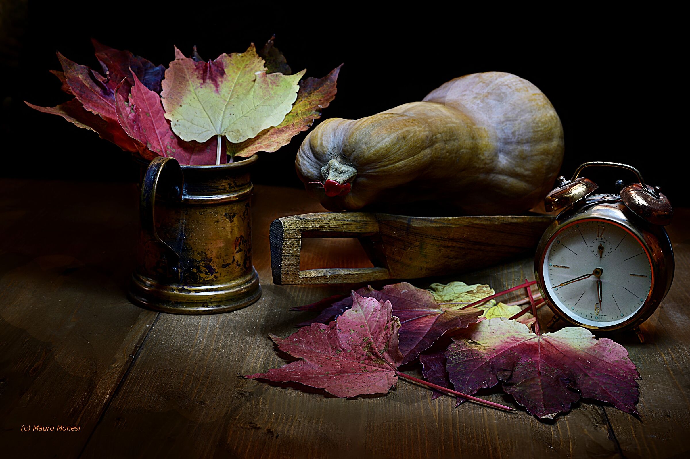 Autumn colors