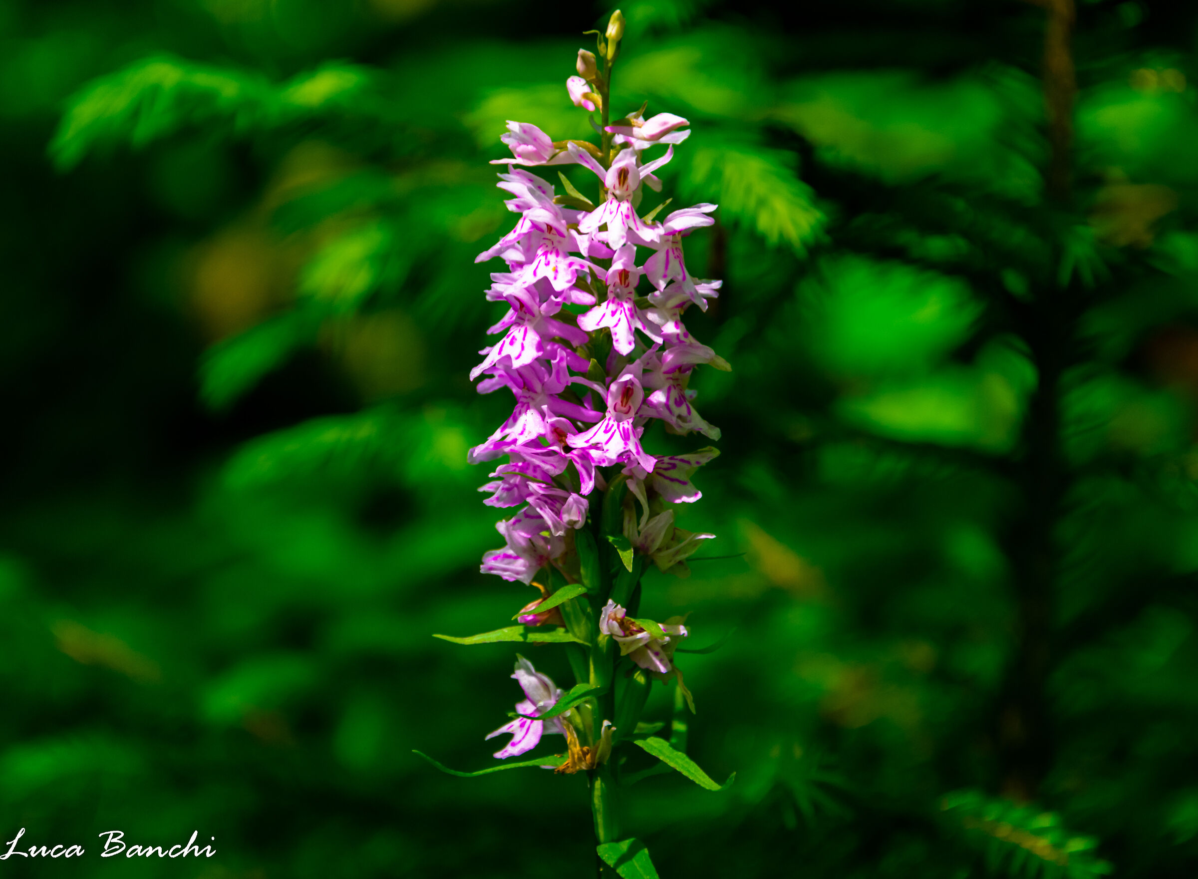 Untitled Photo