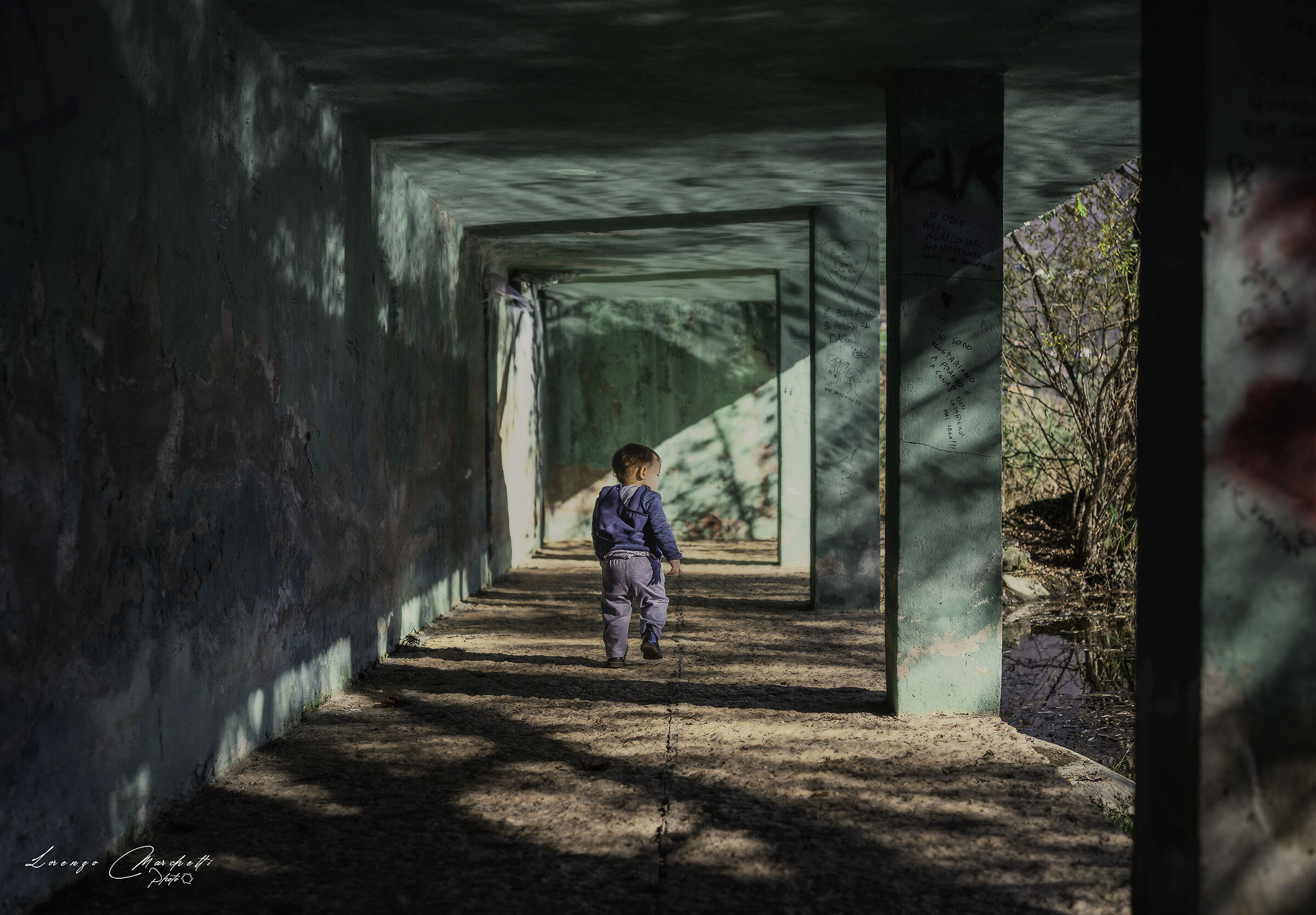 Tunnel on the lake