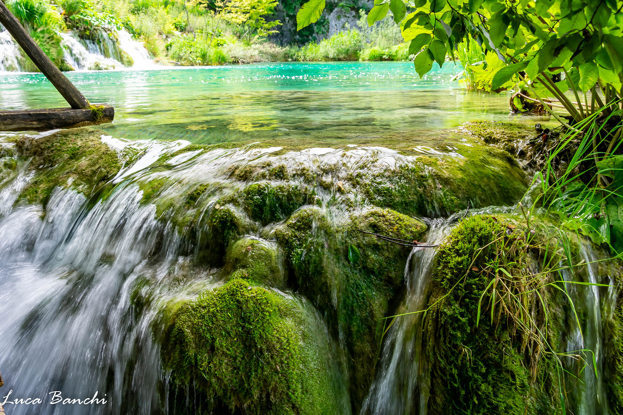 Cascate