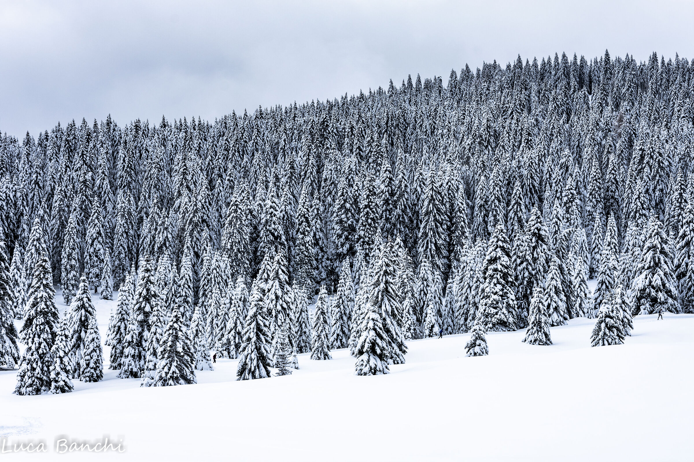 Inverno