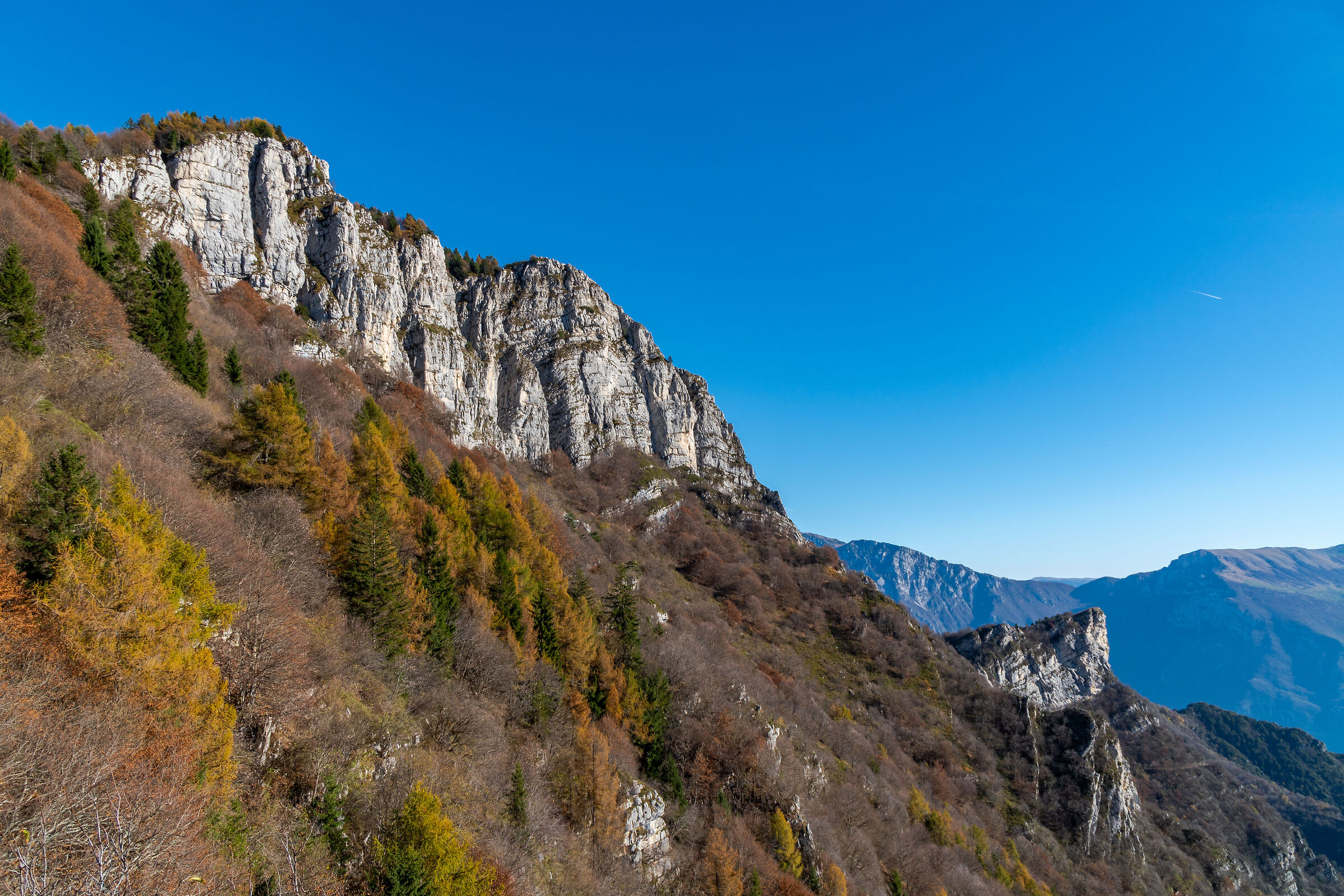 Colori d'autunno sul Monte Carone