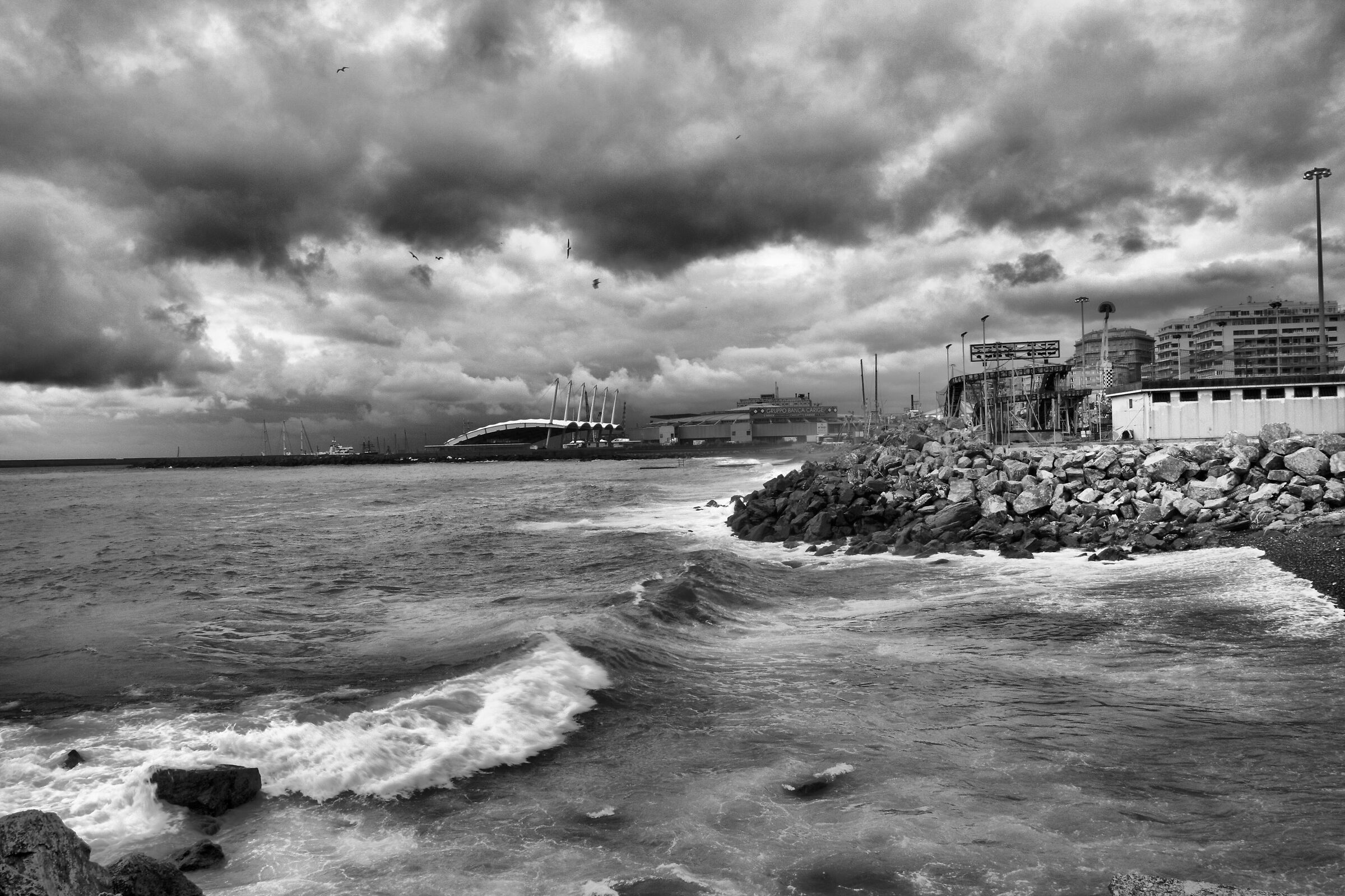Genoa