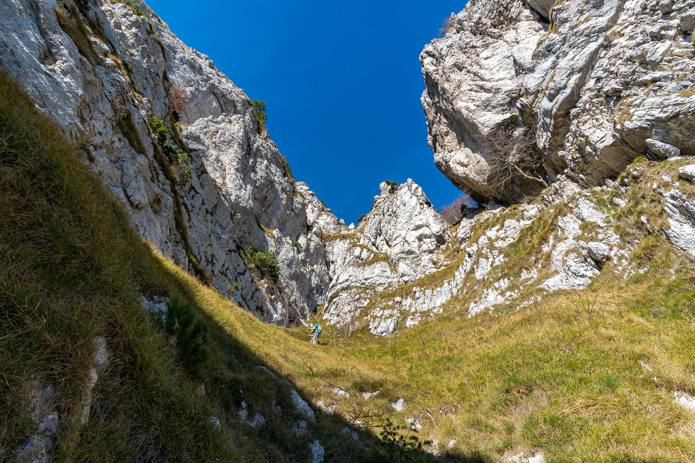 Nel camino del Carone
