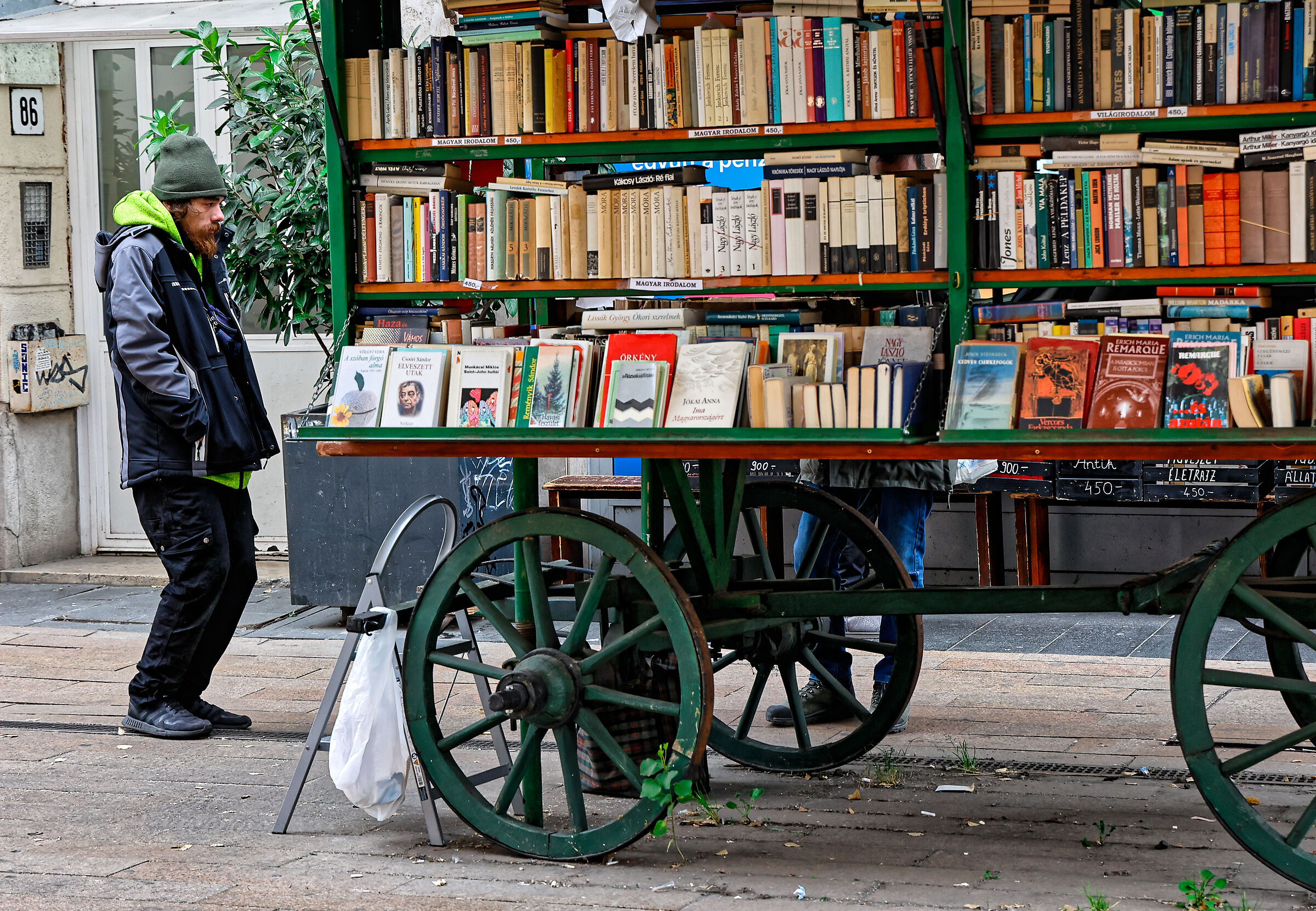 Libraio infreddolito