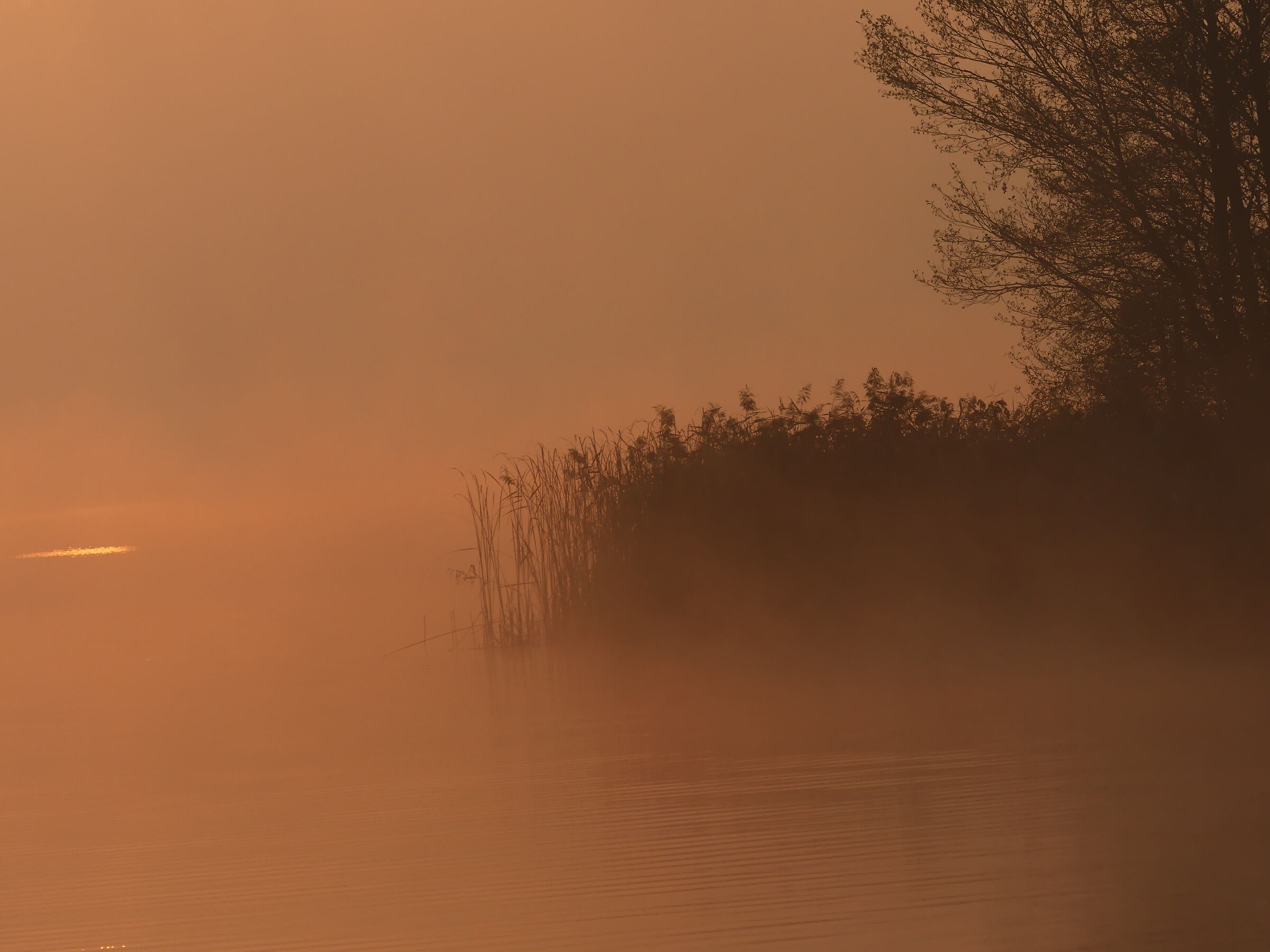 Lake Comabbio