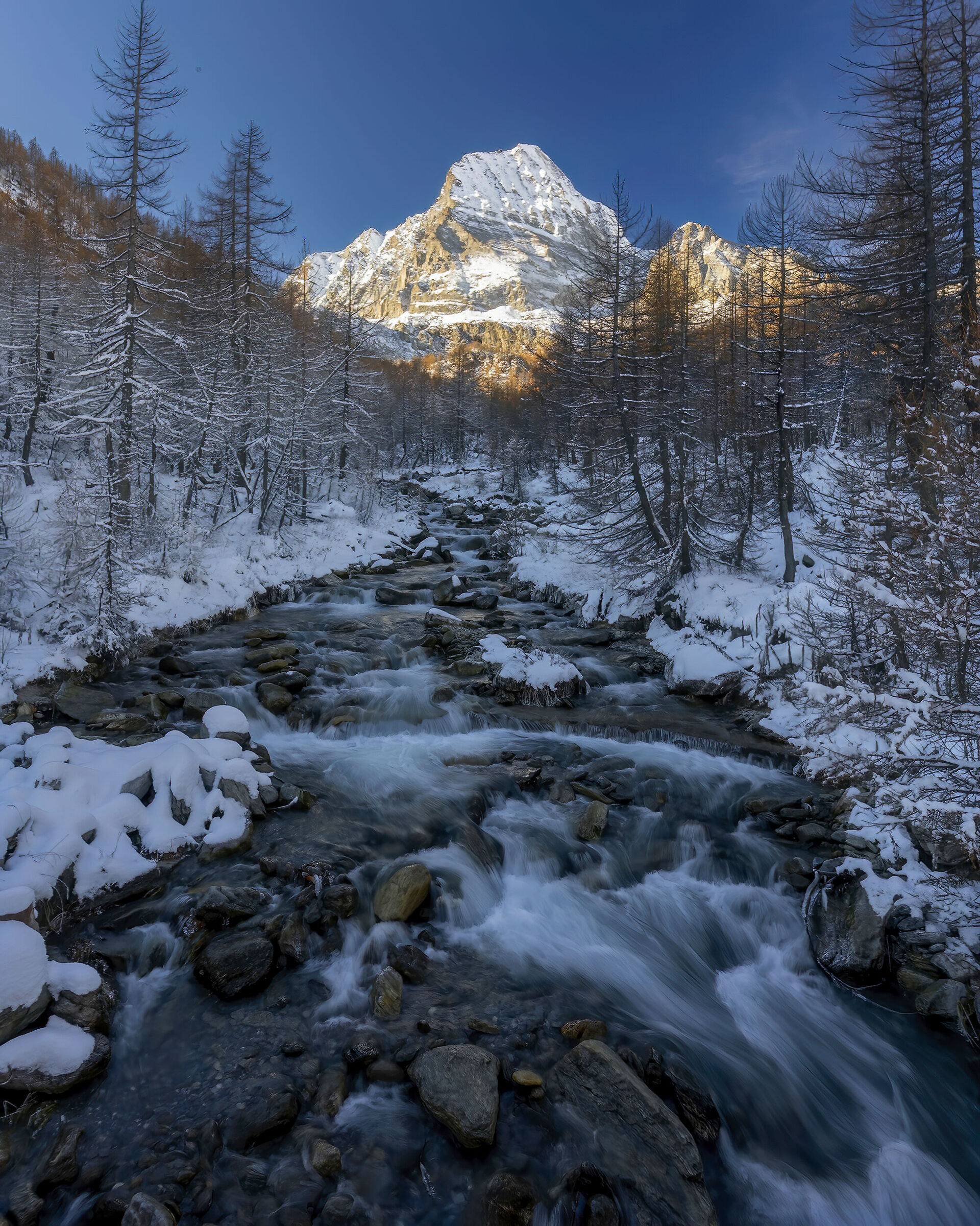 the morning has gold in its mouth...