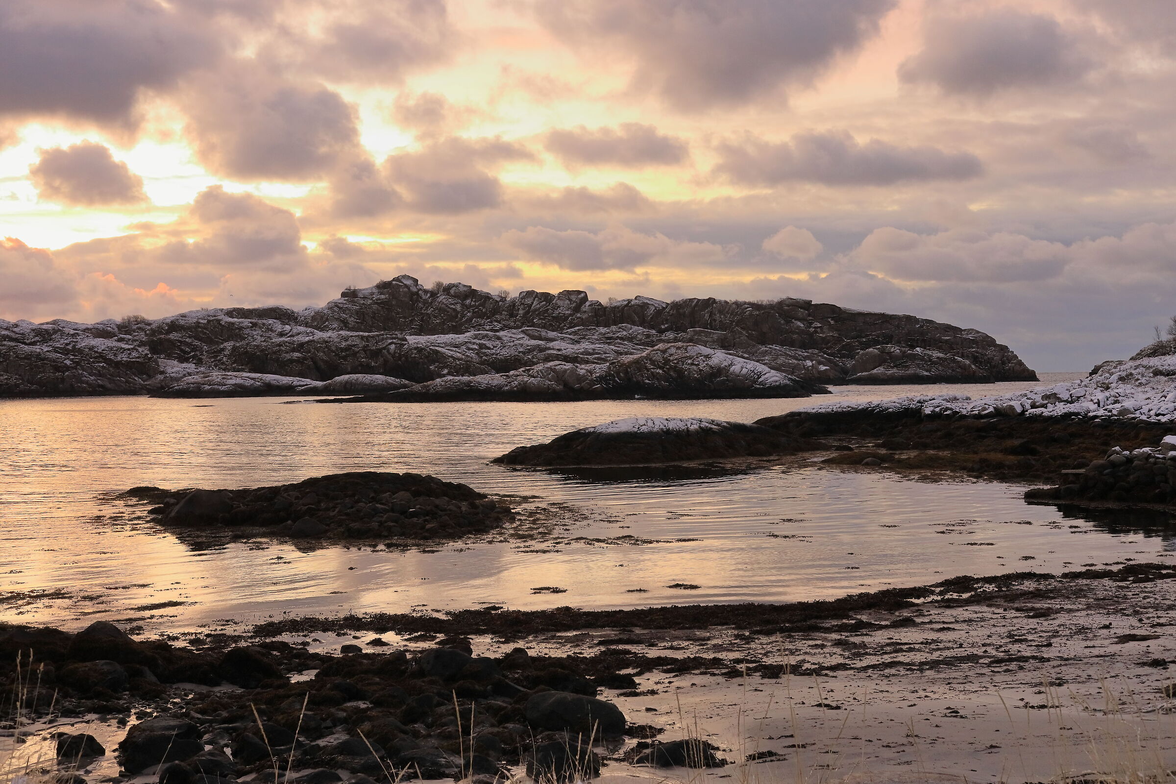 Alba alle lofoten