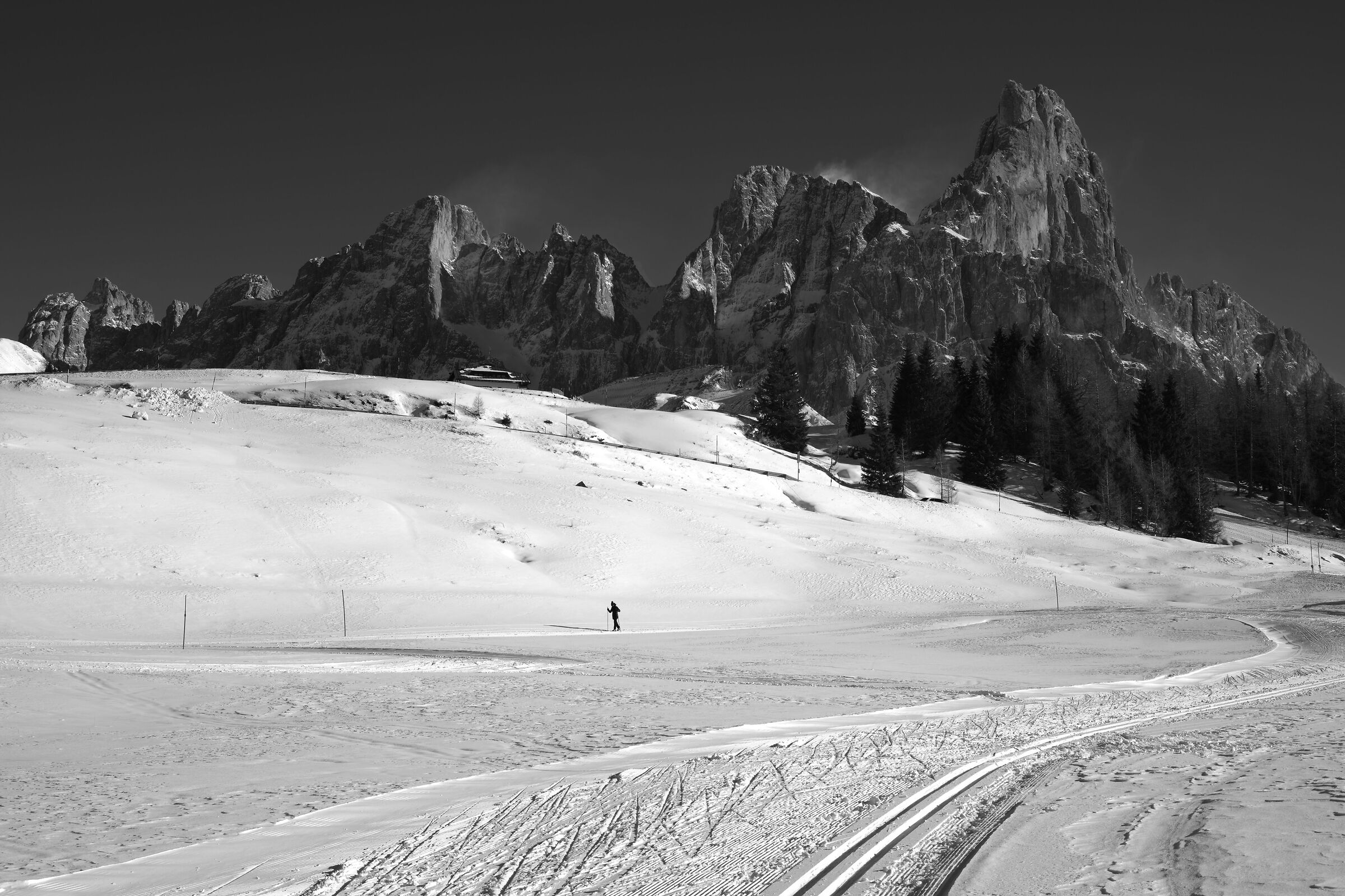 Al cospetto delle Pale