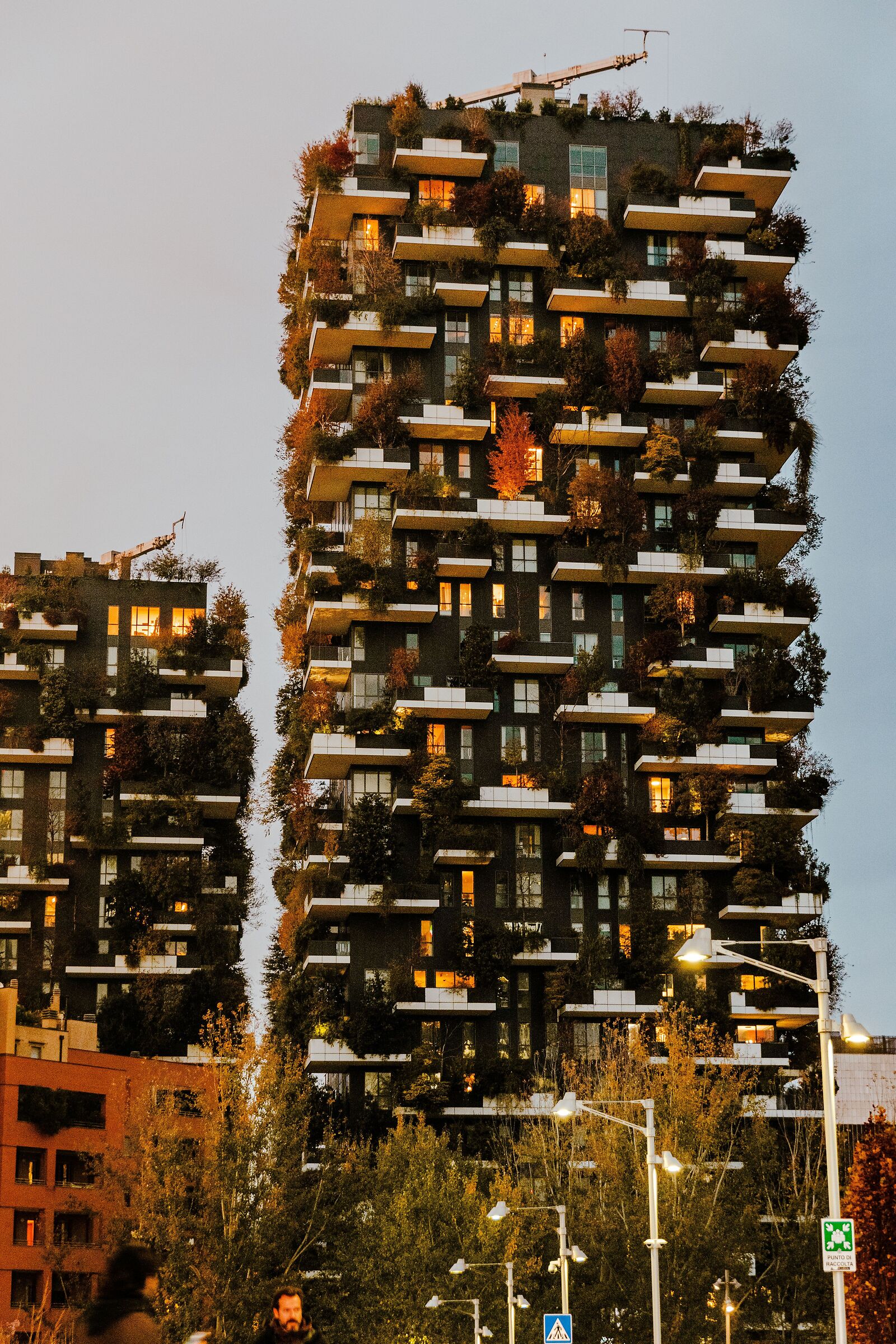 bosco verticale al tramonto