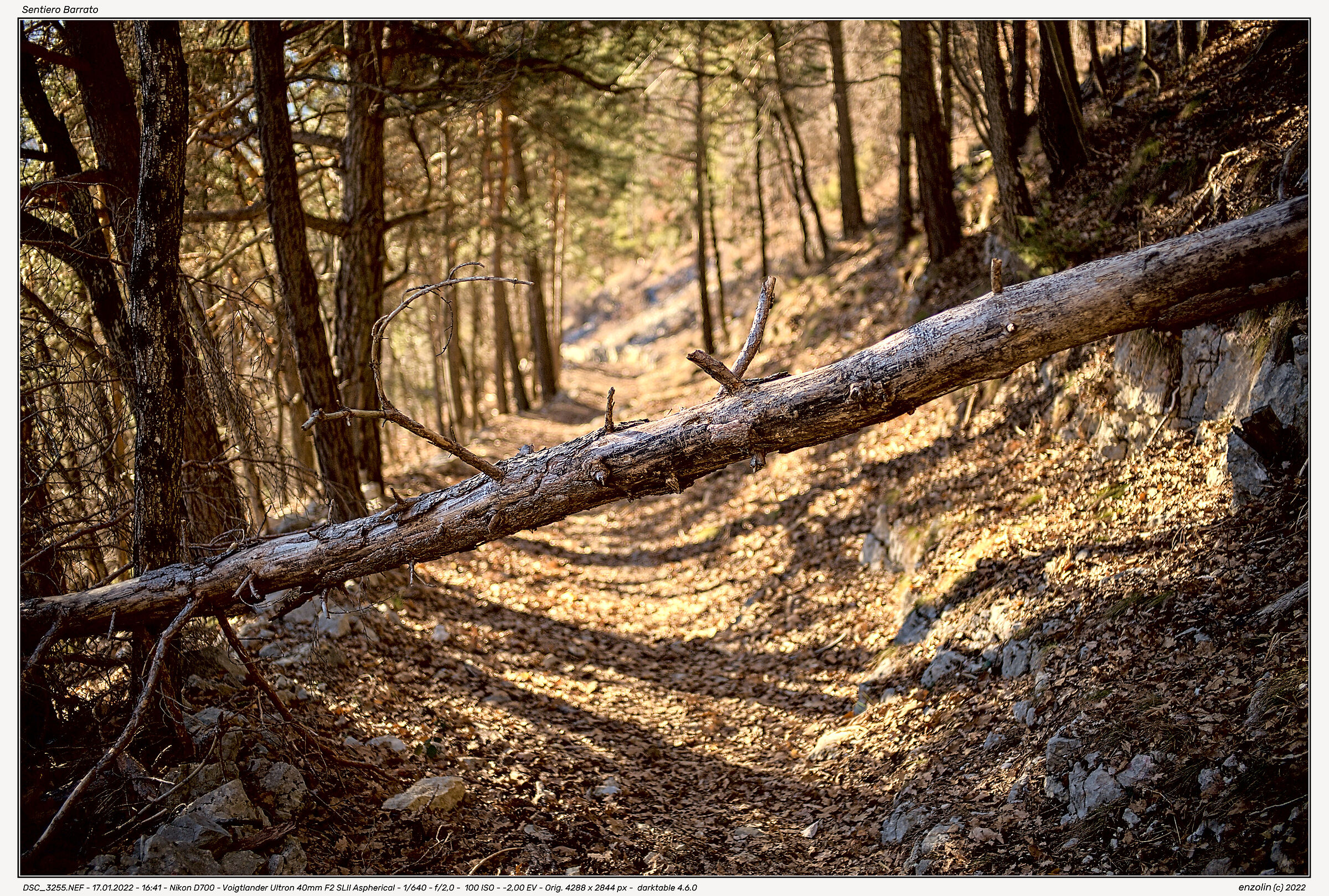 Barred Path