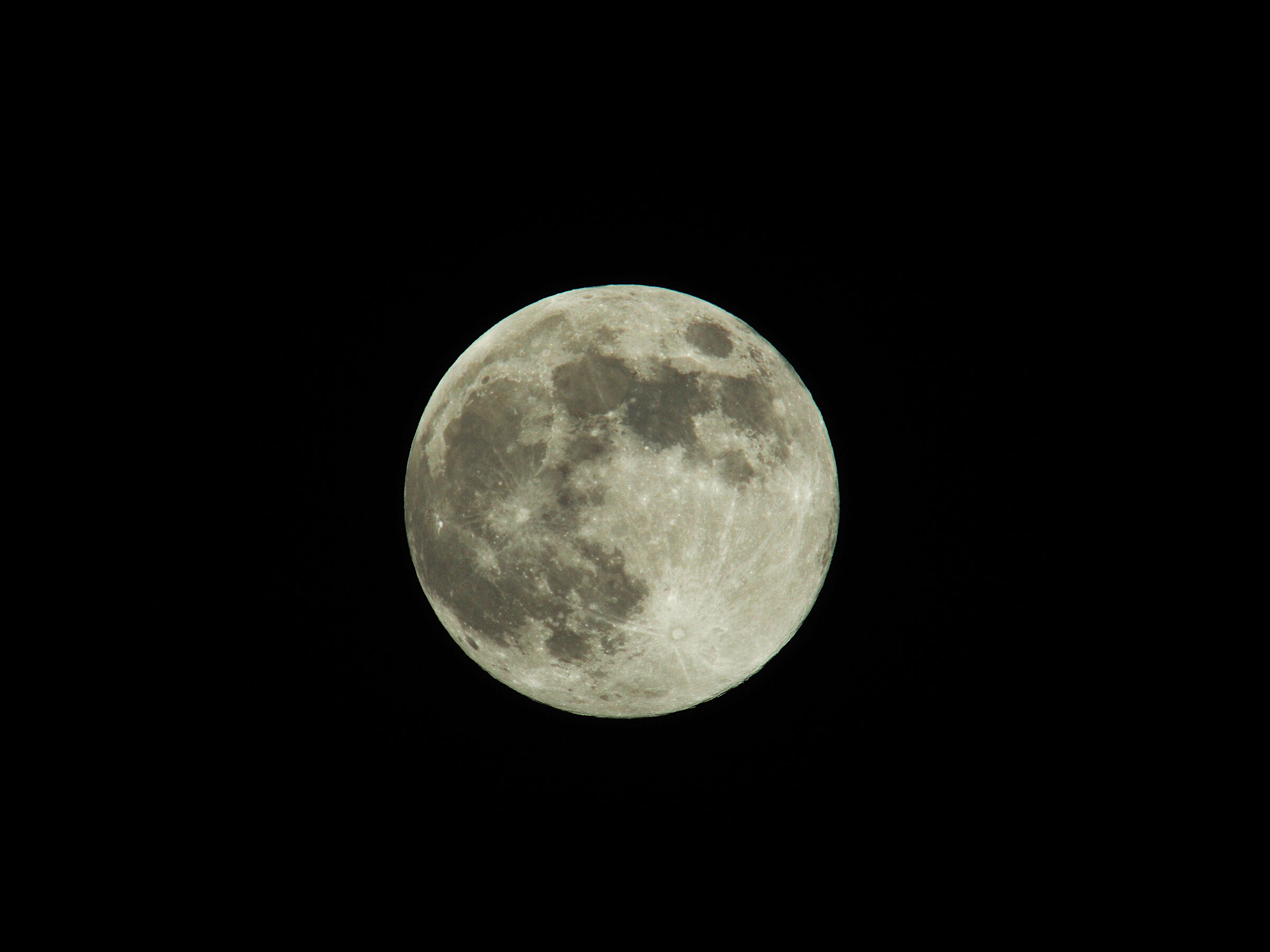 Luna Castoro