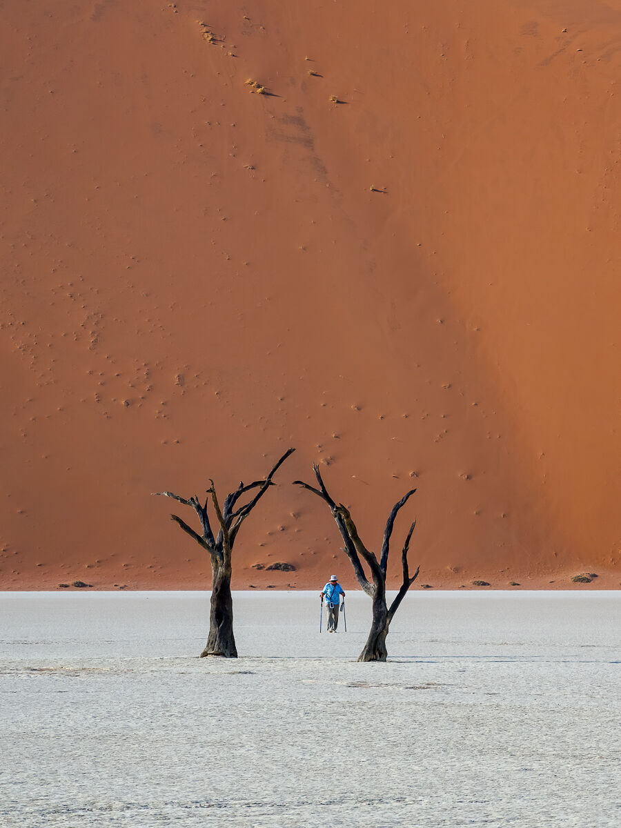 Namibia : Dead Vlei