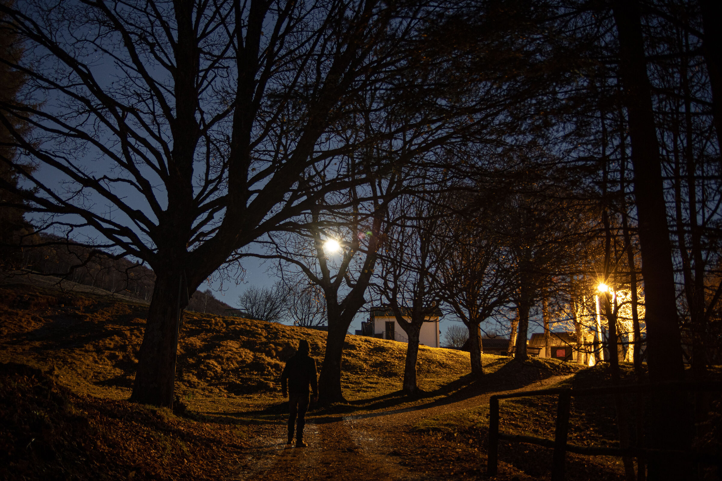 Passeggiata notturna