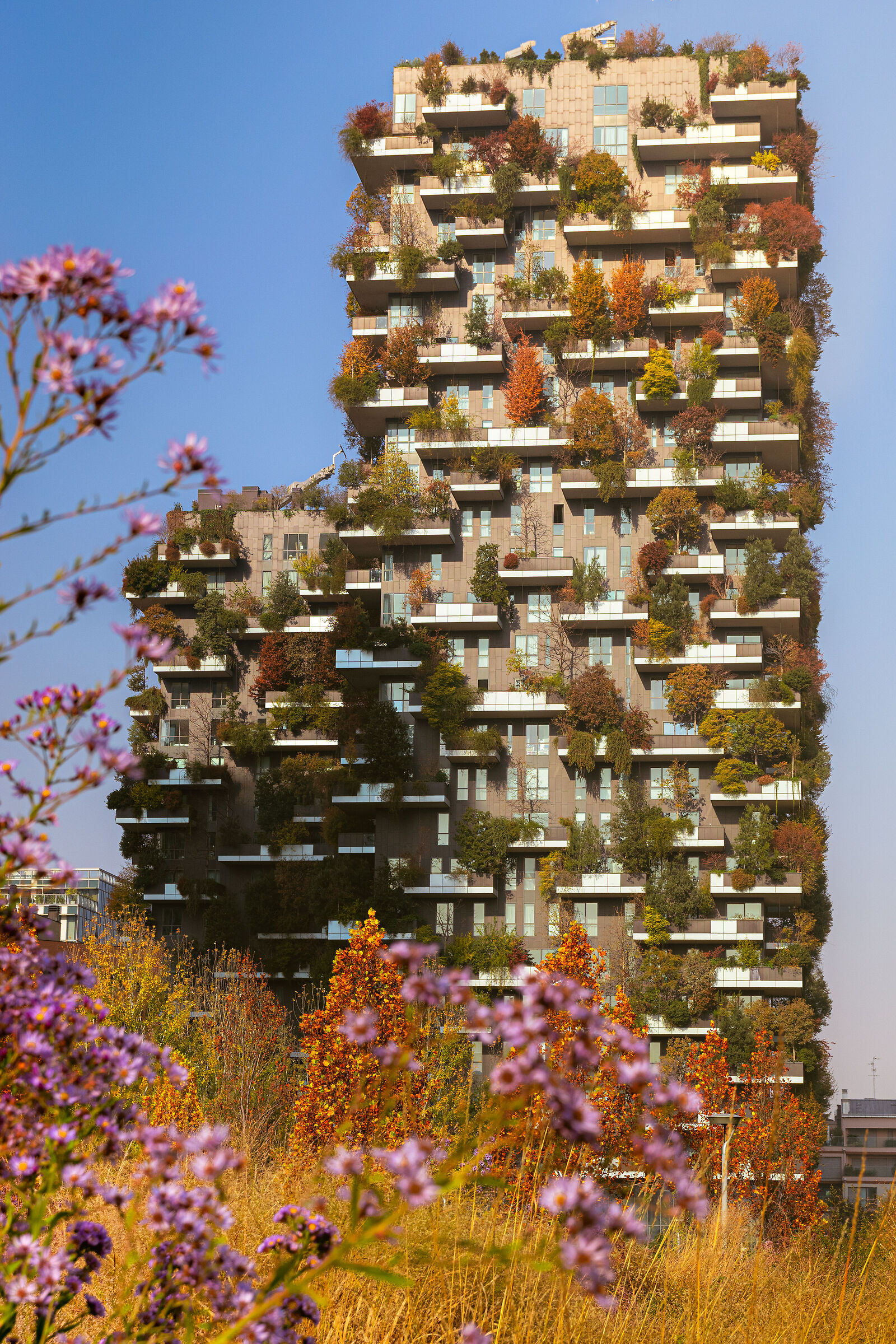 autunno al bosco verticale