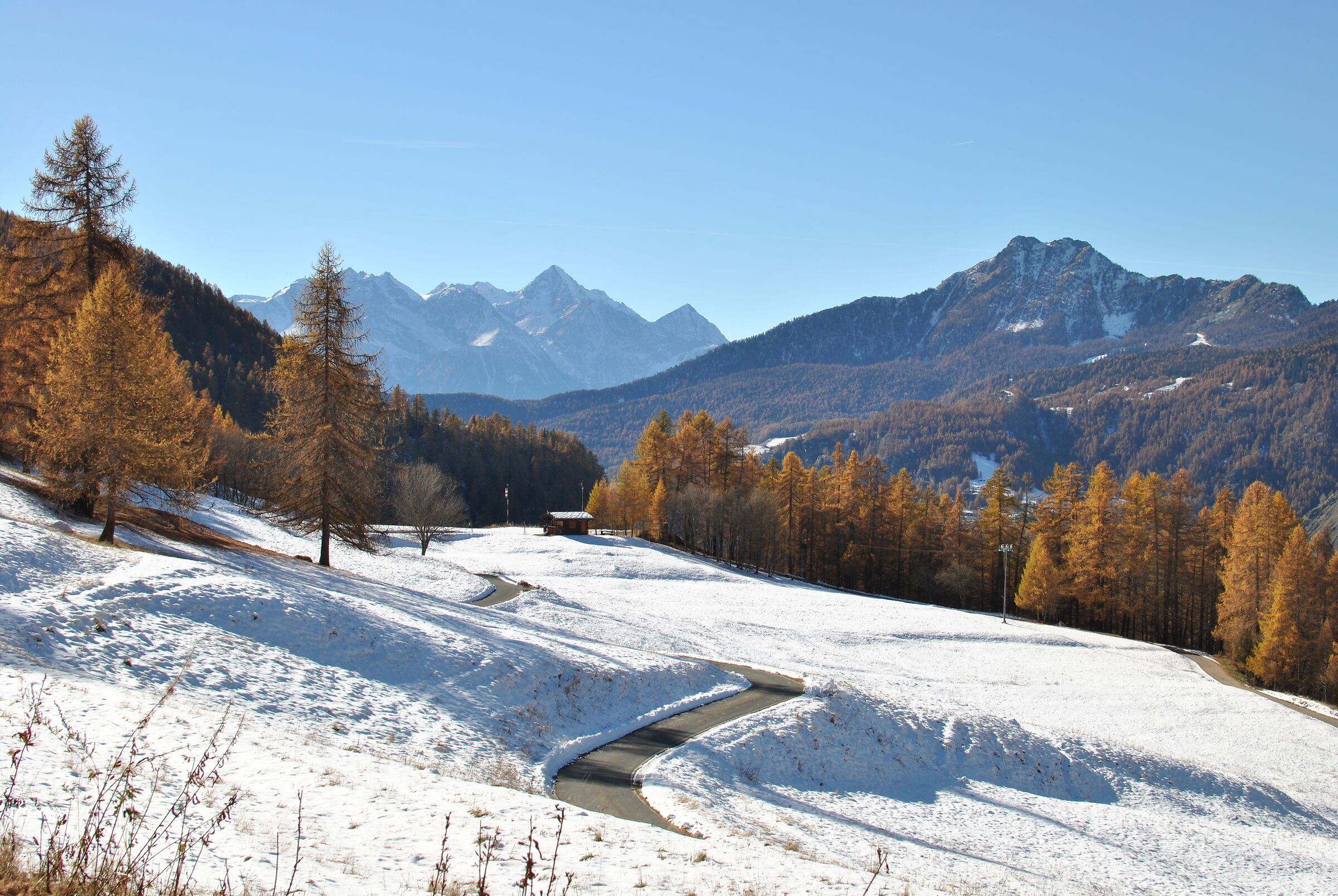 Autumn and winter meeting