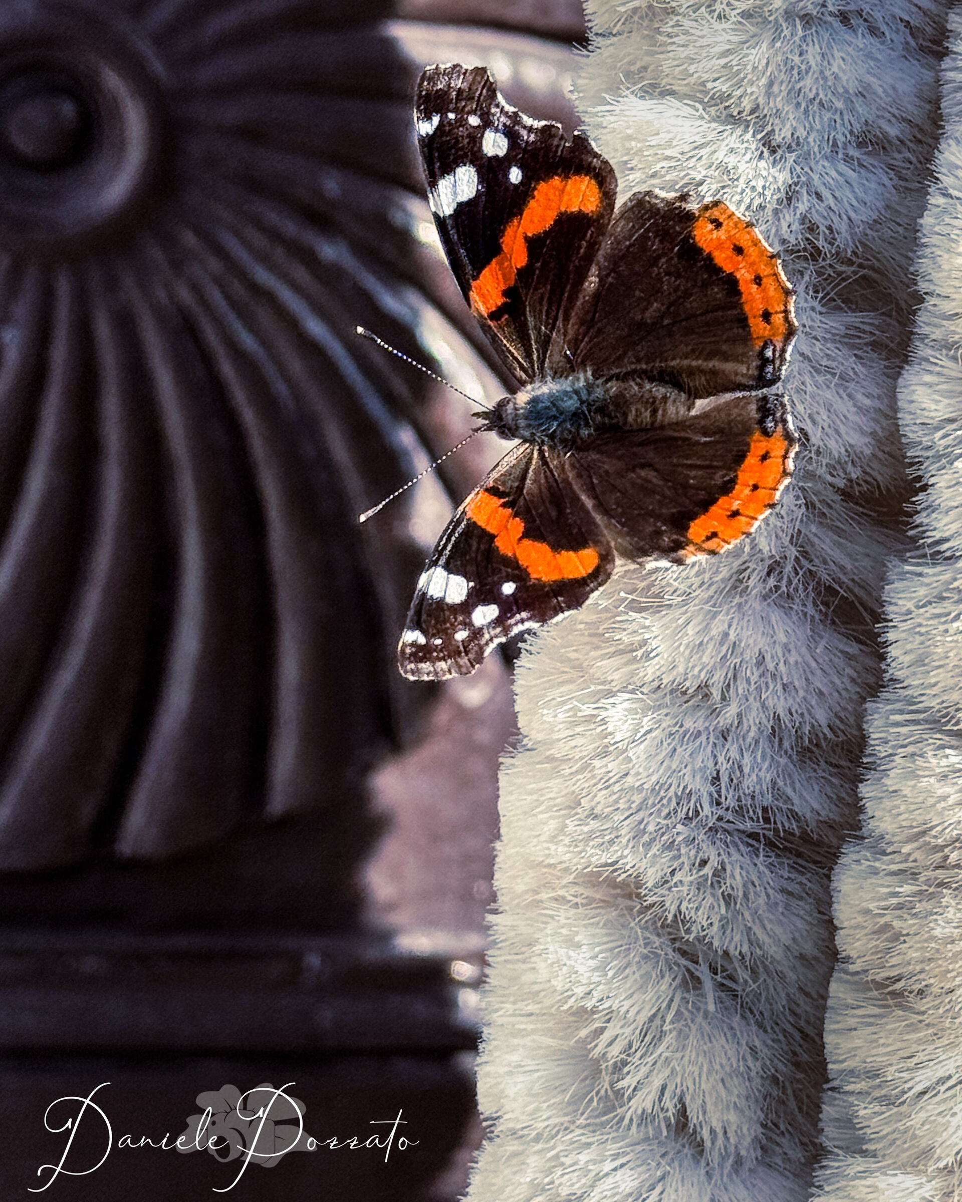 Why do all good things come to an end?