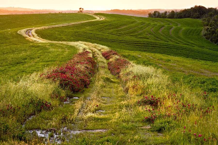 Tuscan paths