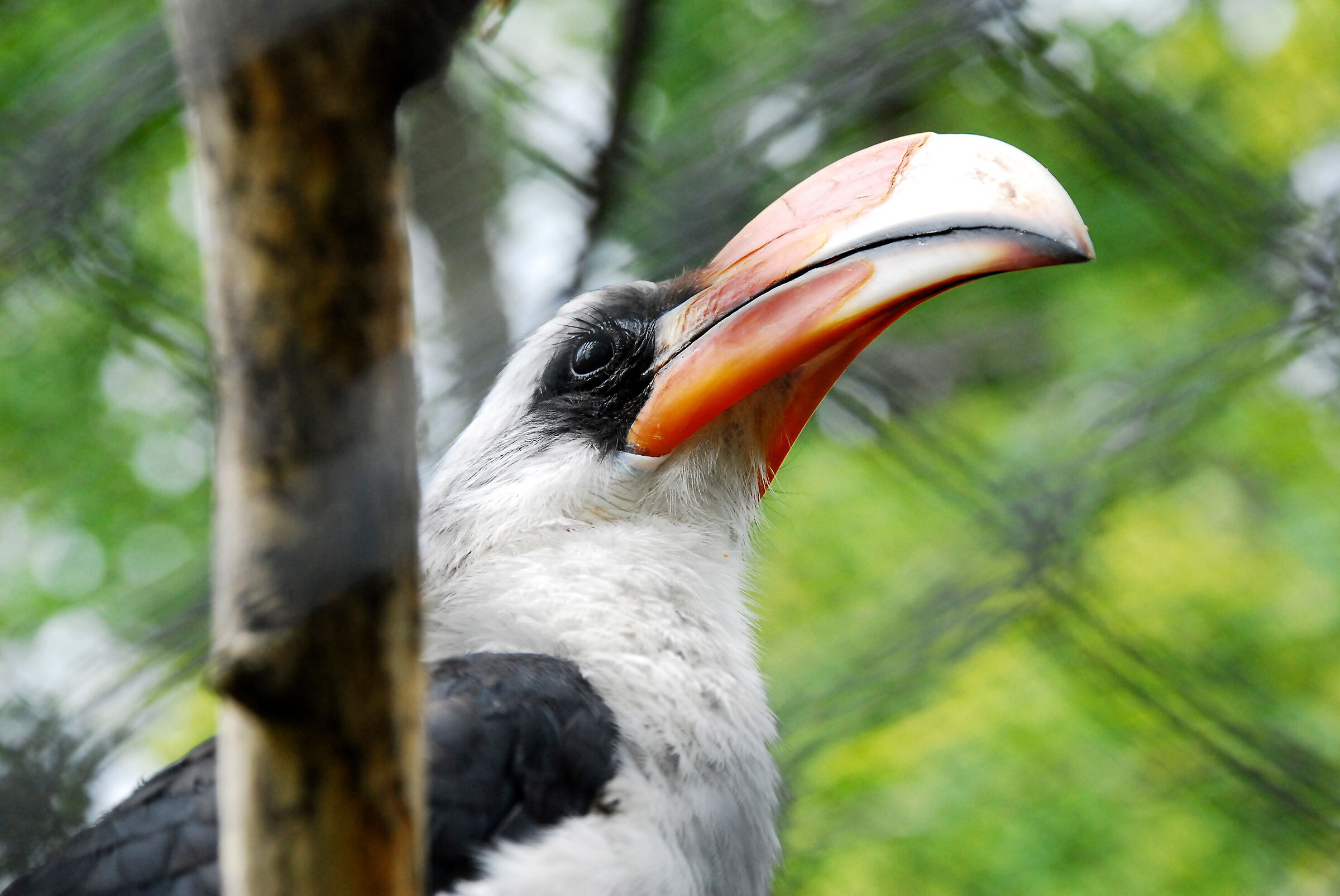 London Zoo