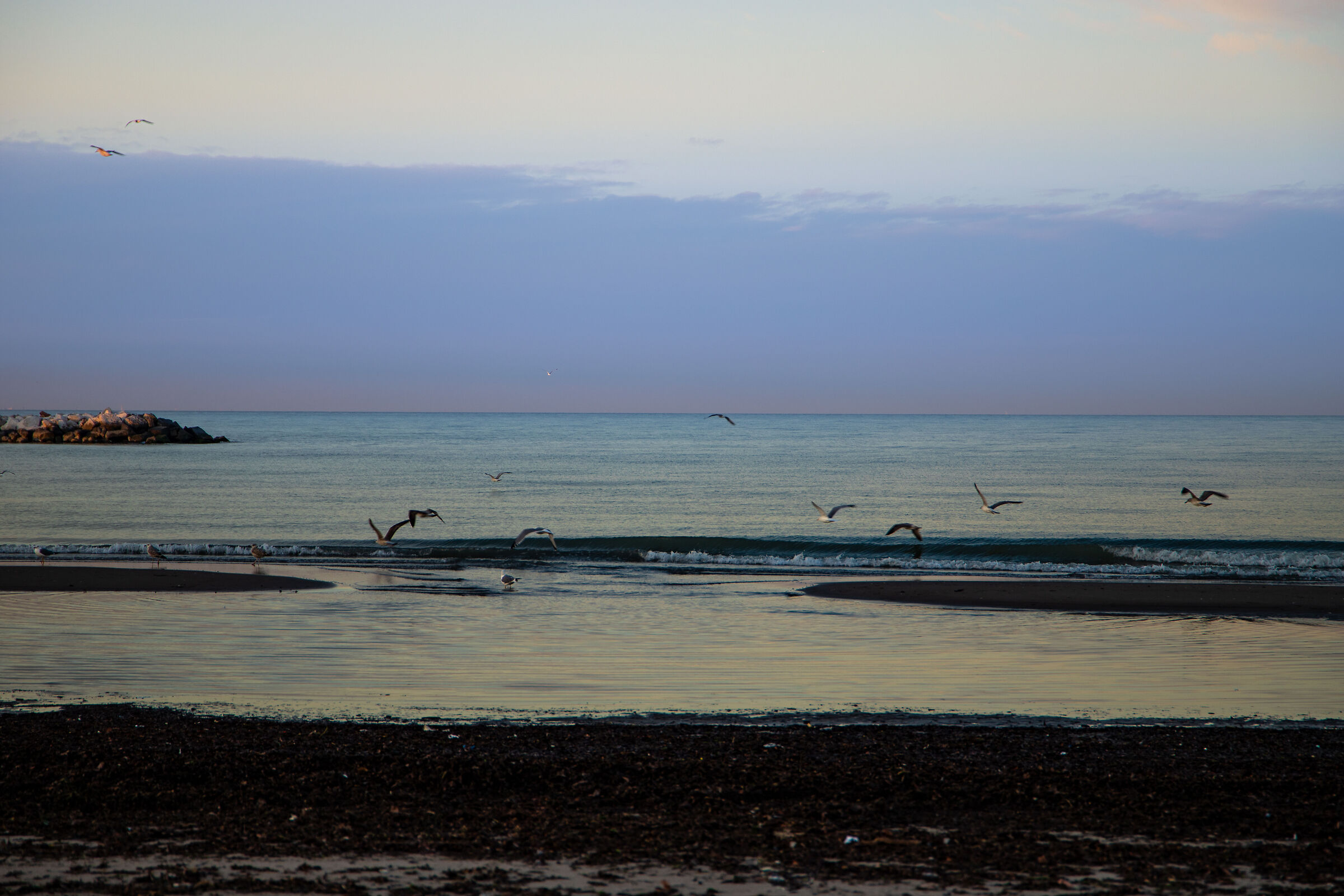 by the sea