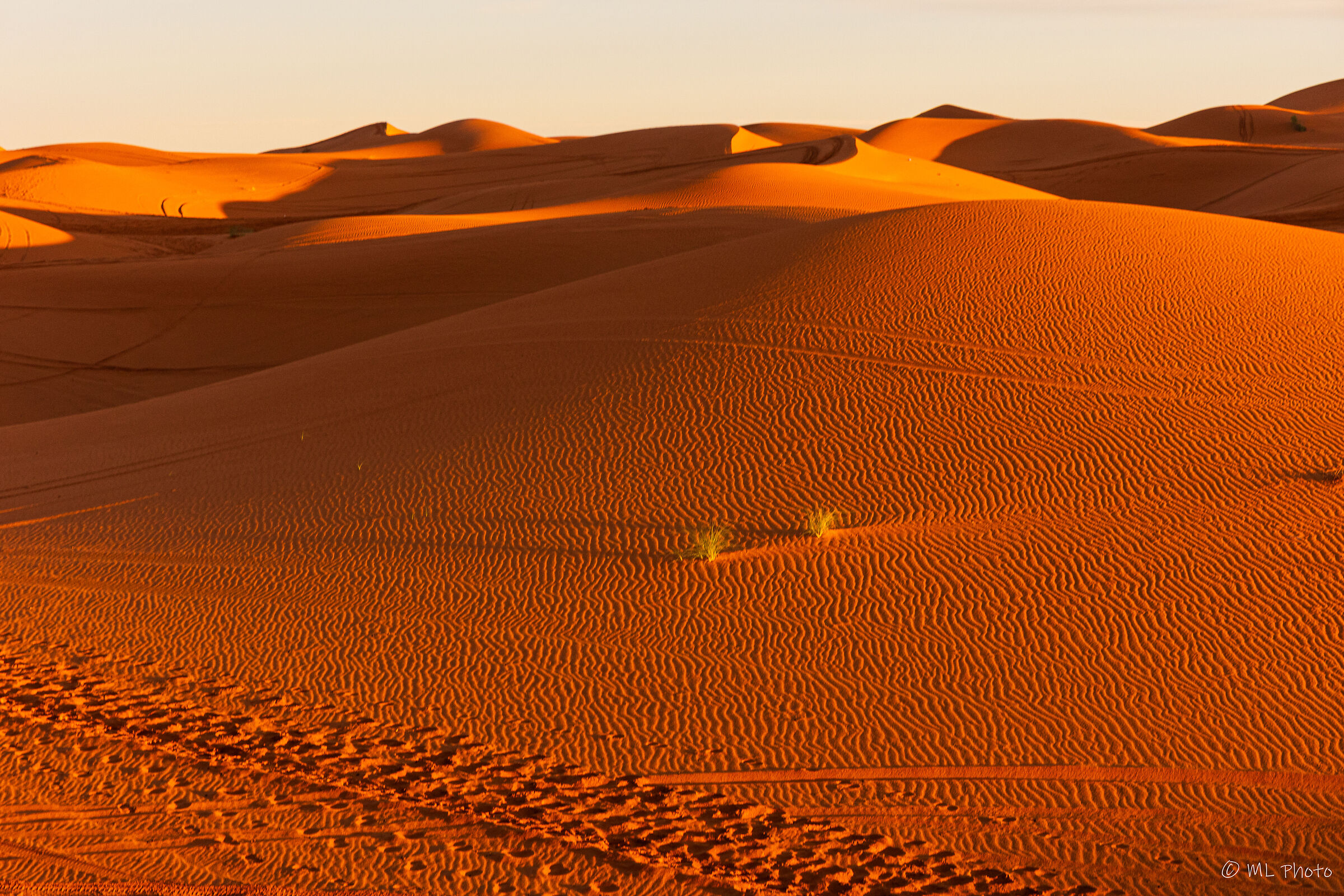 Dunes