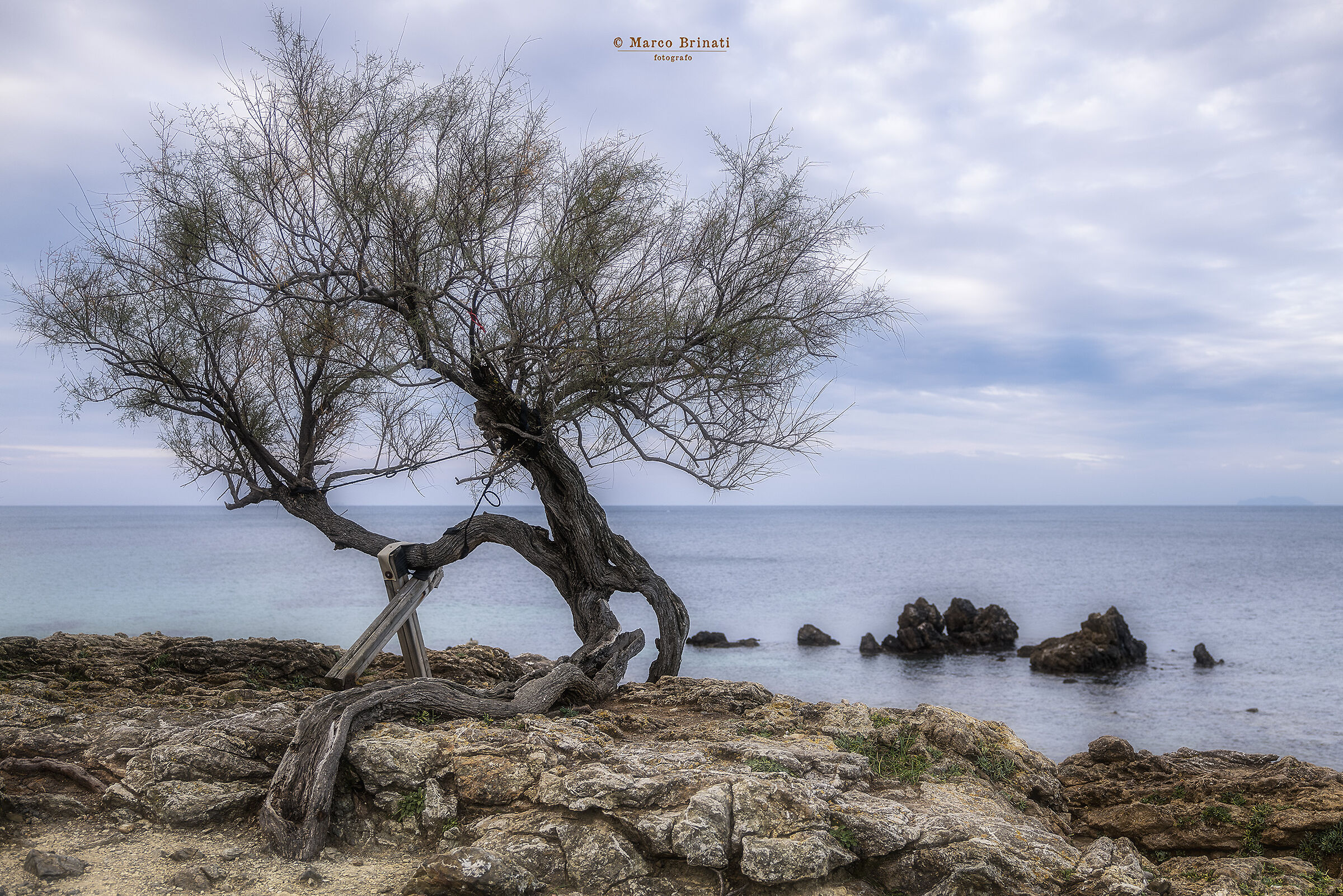 Scoglio della Tamerice