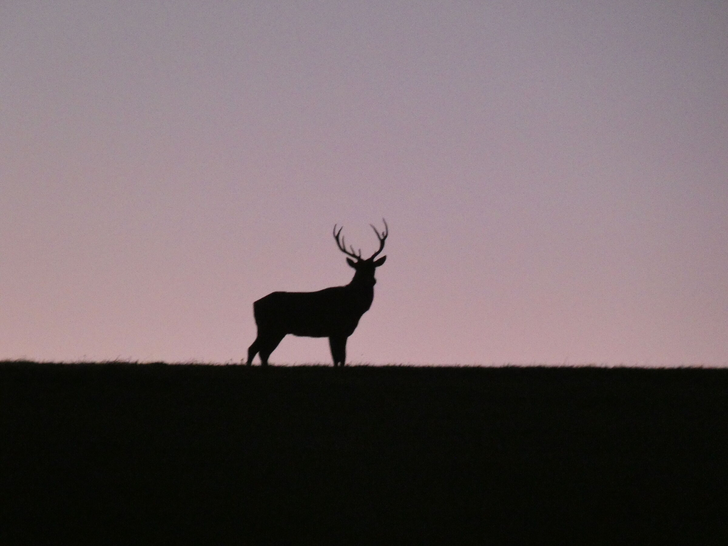 Bramito al tramonto