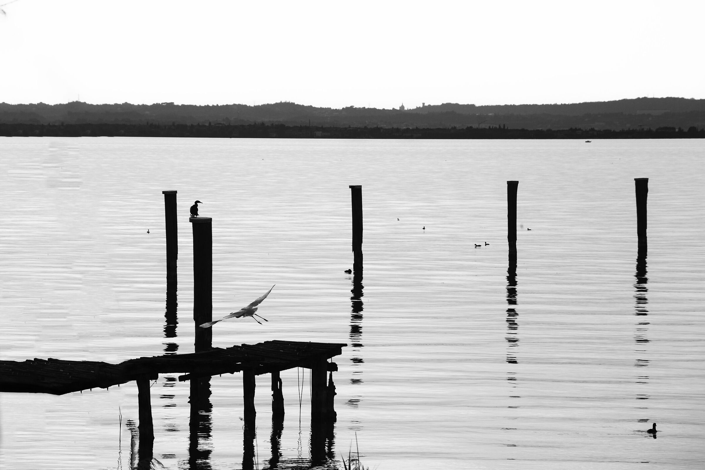 la solitudine