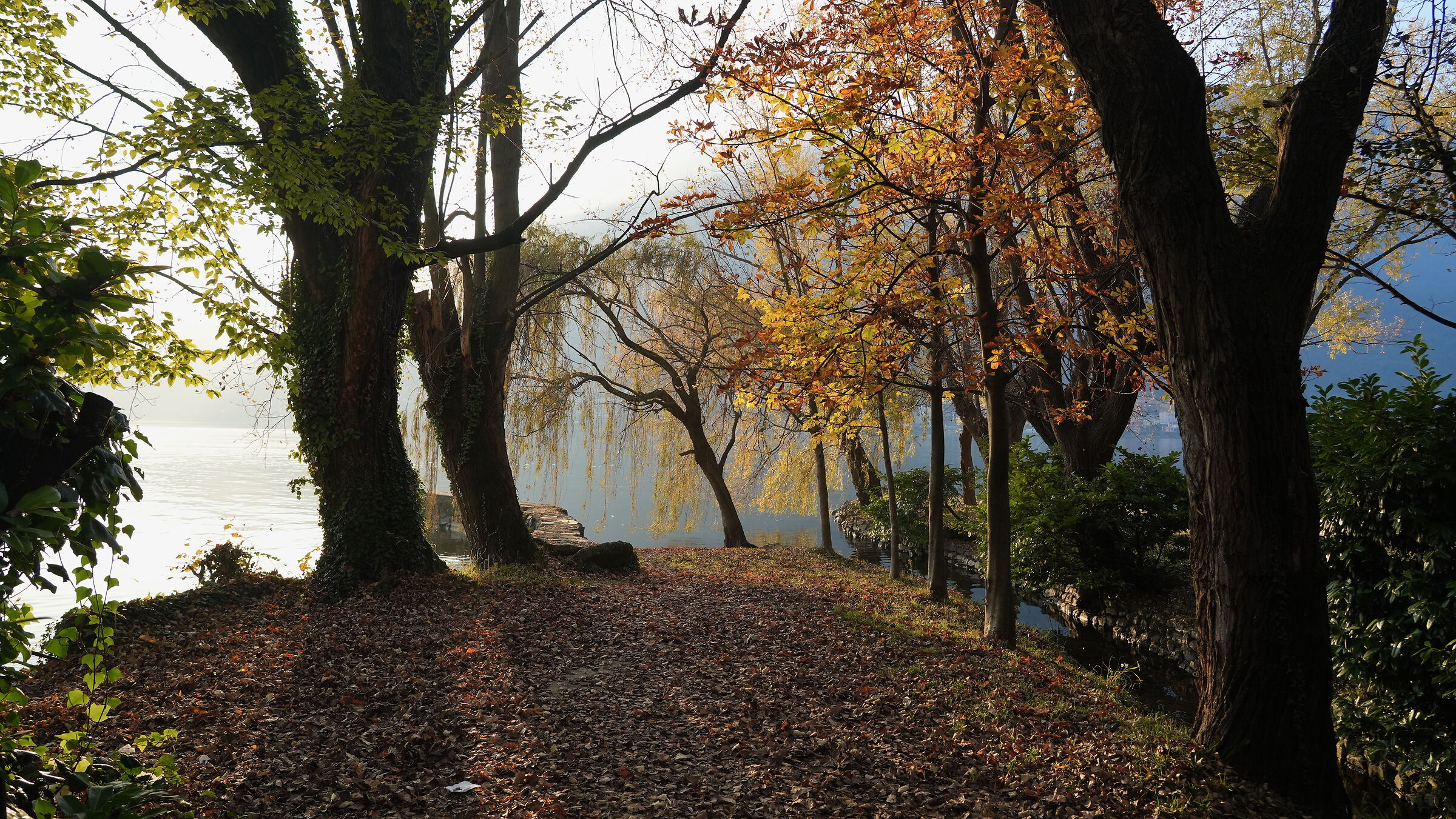 Lake Garlate : late autumn 2