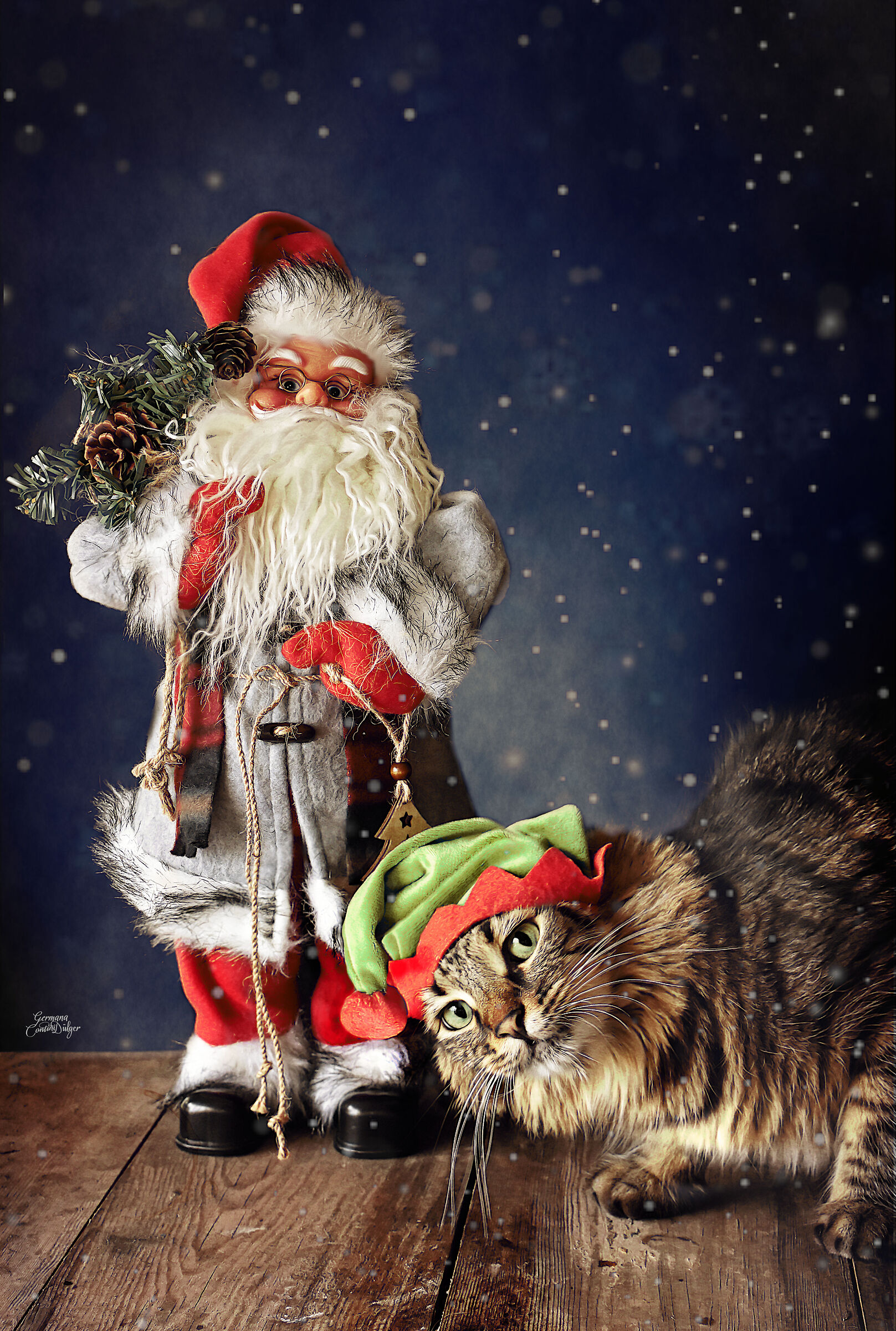 Cartoline di Natale