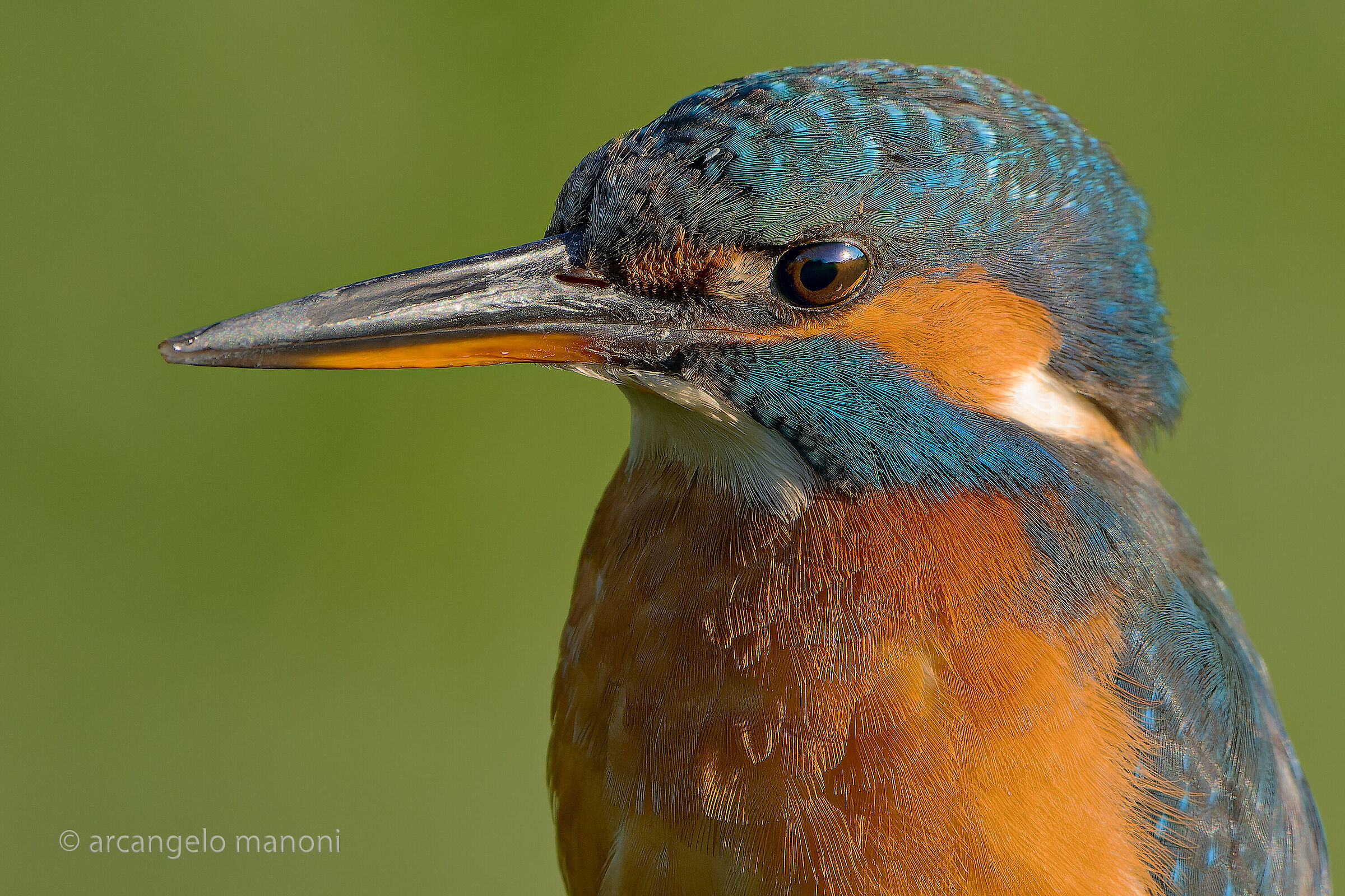 Foto tessera alla martina