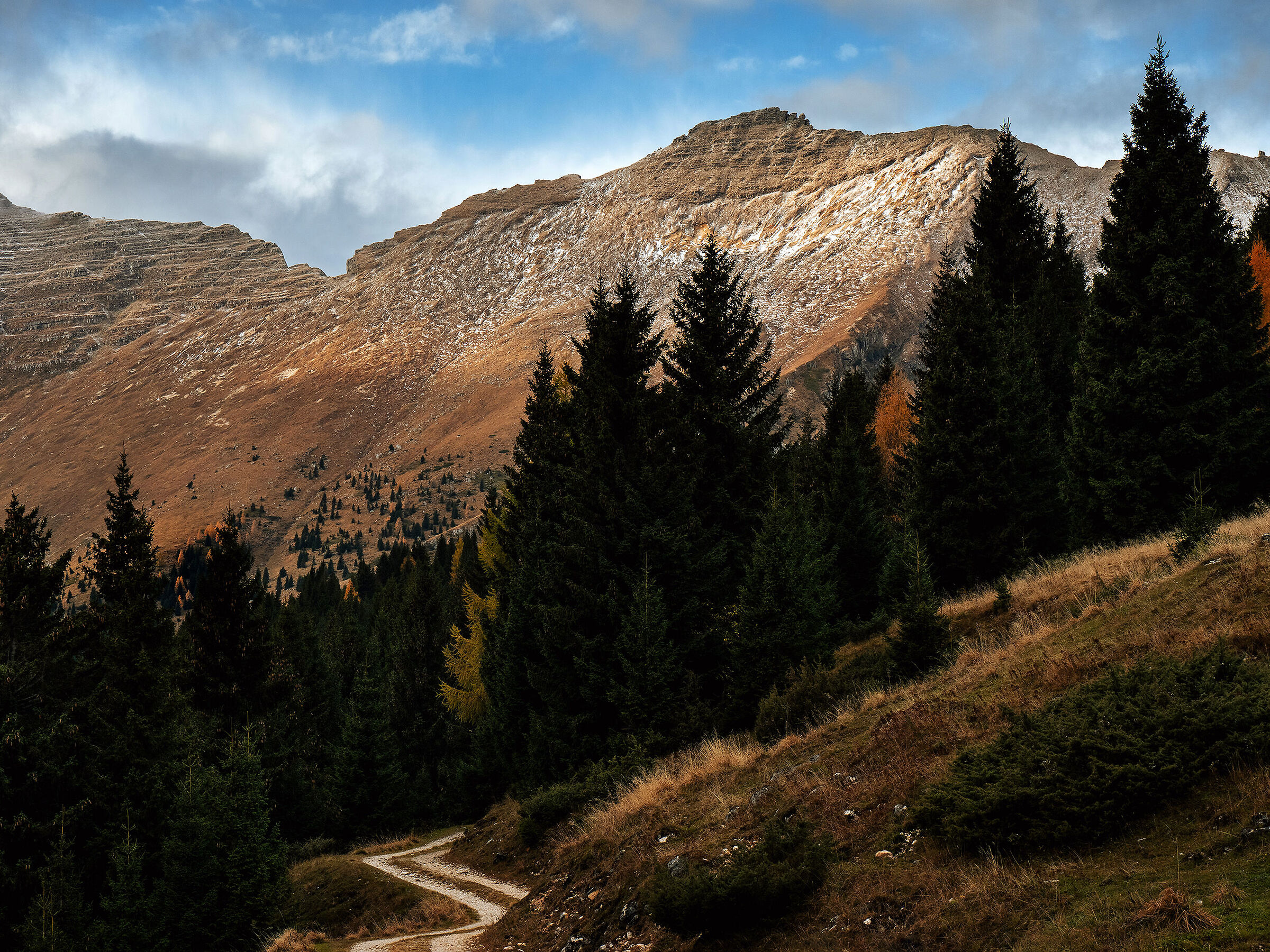 Autumn on the plateau#2 - Julian Alps